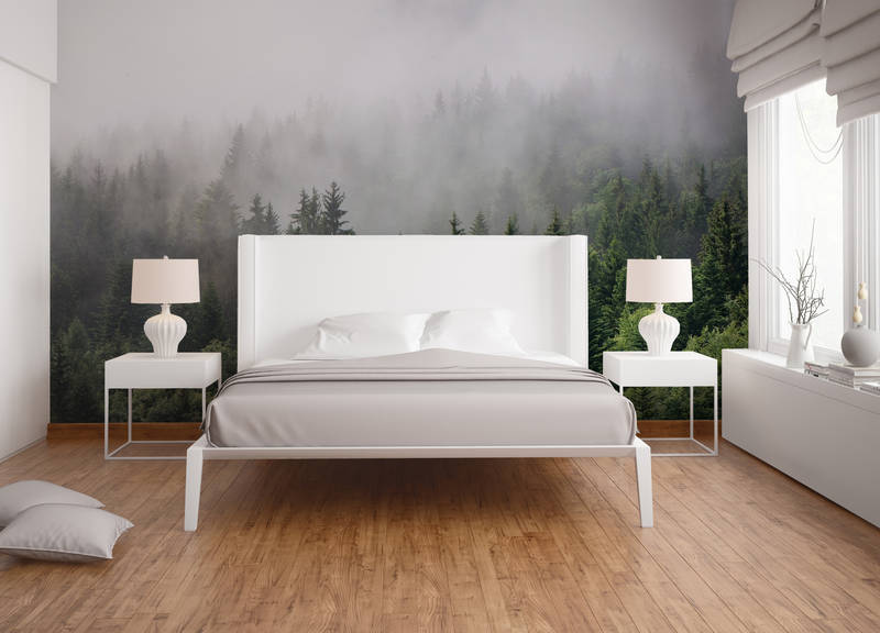             Wald von oben an einem nebeligen Tag – Grün, Weiß
        