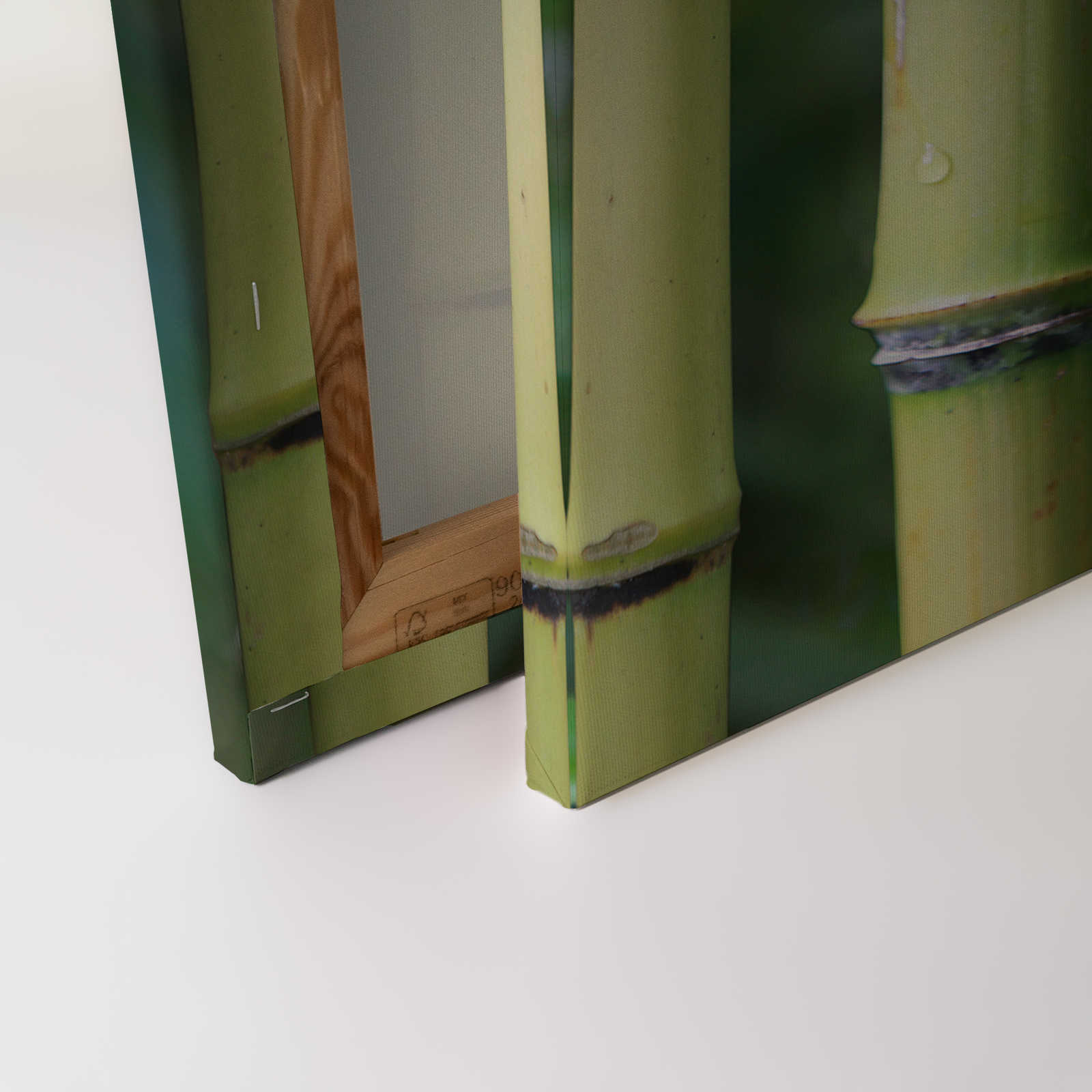 Bambus Leinwandbild Bambuswald mit Detailansicht – 0,90 m x 0,60 m