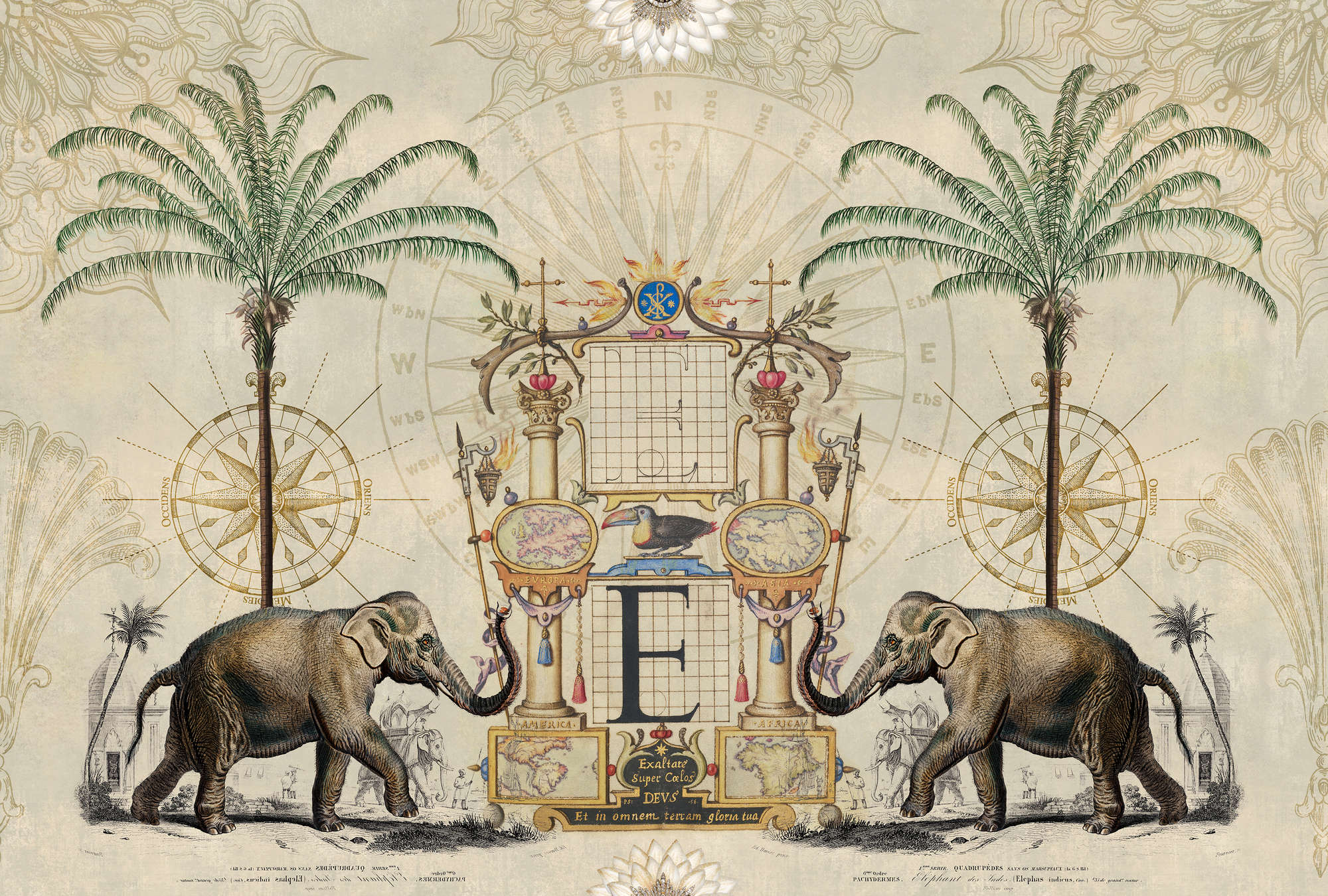 elefant, elefanten, palme, kompass, vintage-karten