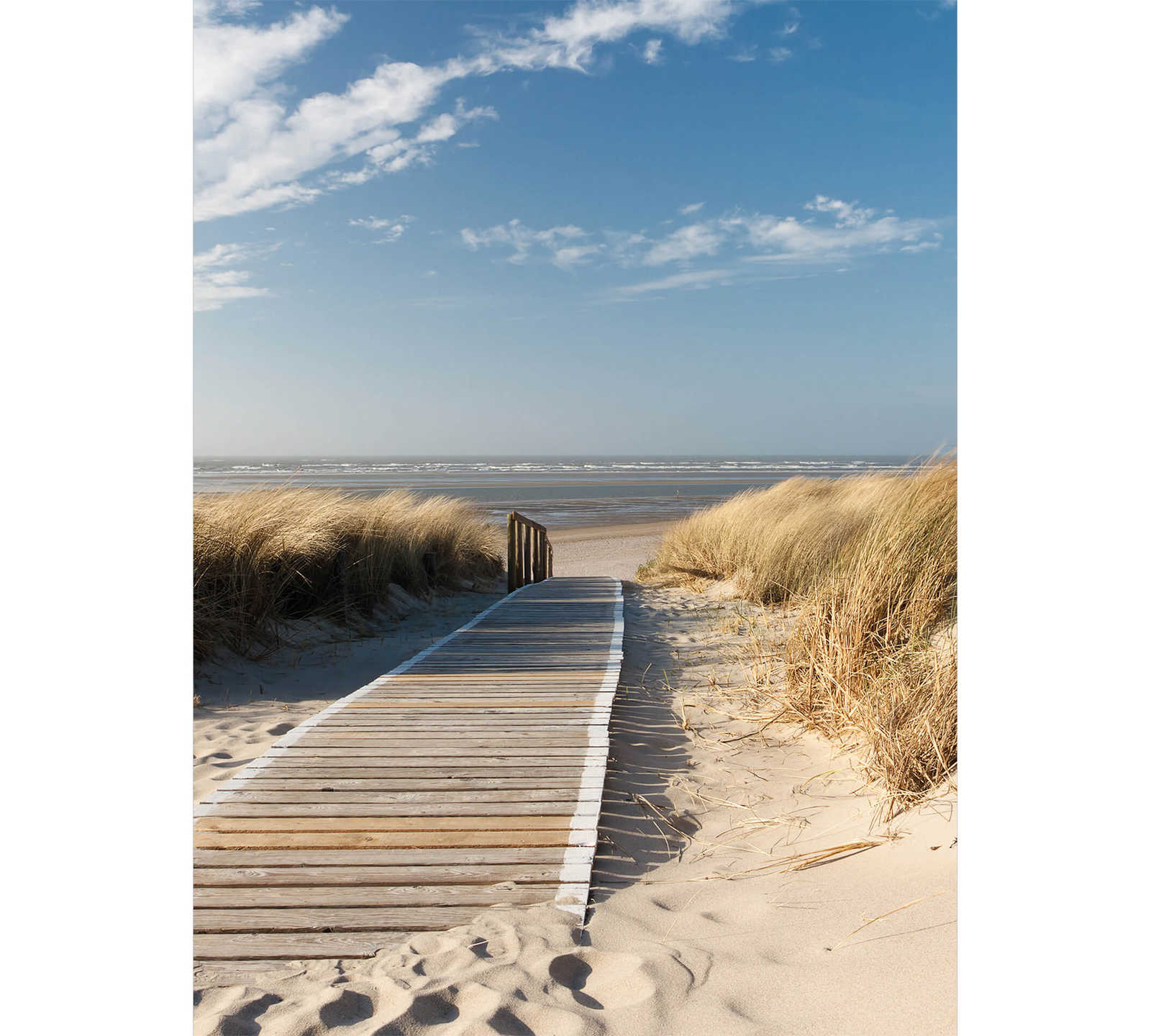         Fototapete Strand an Ostsee – Creme, Blau, Weiß
    