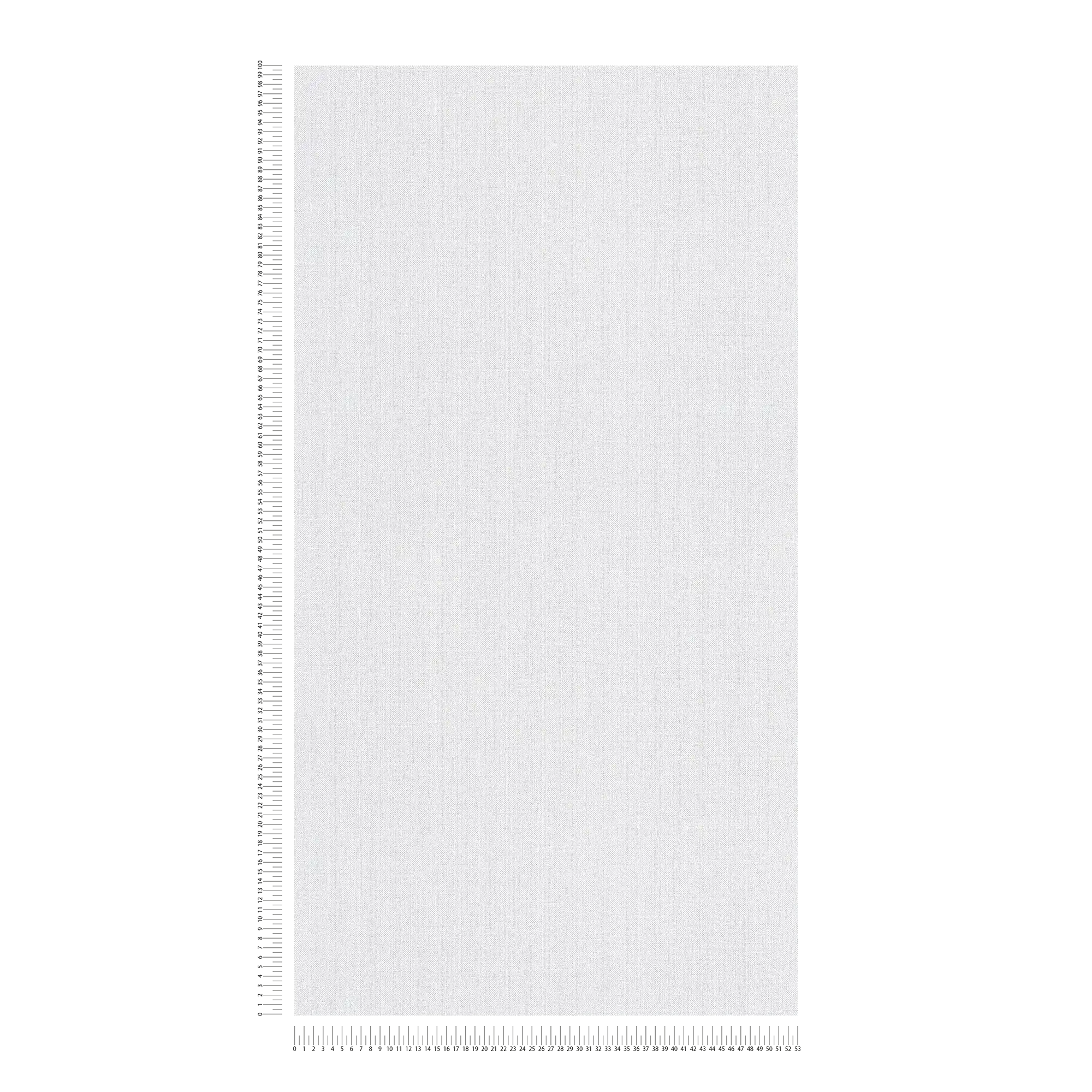Uni Vliestapete mit feiner Struktur und mattem Finish – Grau