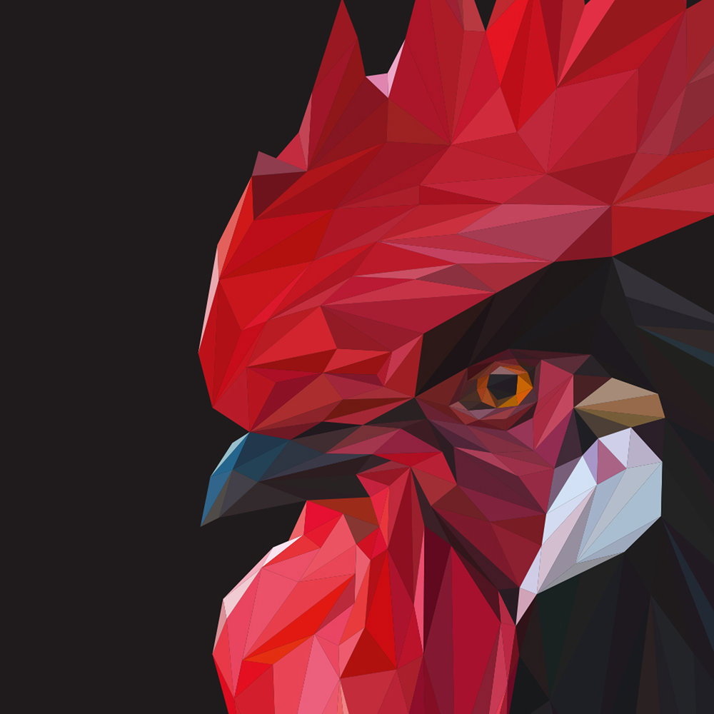 hahn, vogel, rot, polygonal, geometrie