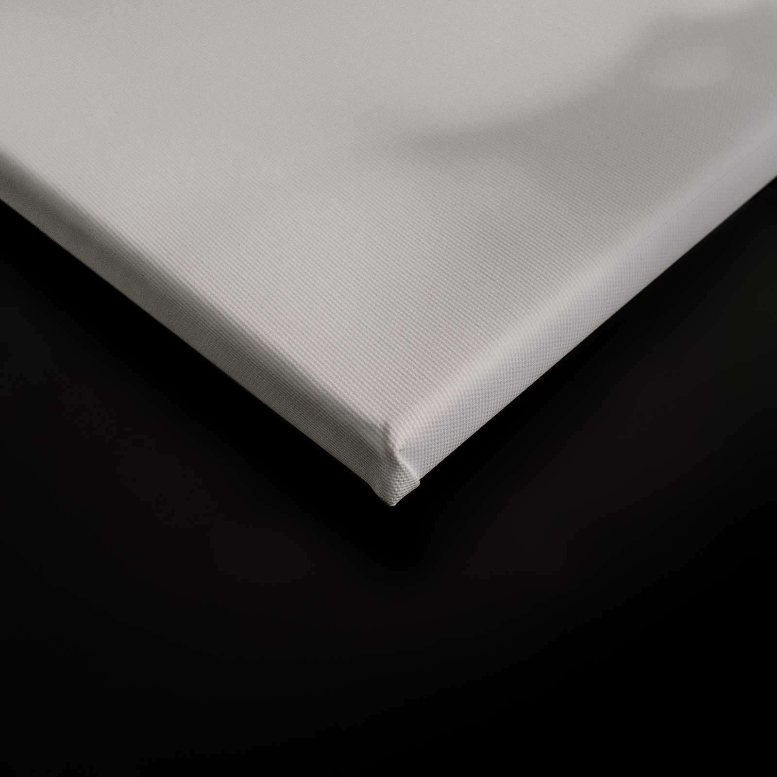 Light Room 1 - Leinwandbild Natur Schatten in Grau &amp; Weiß – 0,90 m x 0,60 m