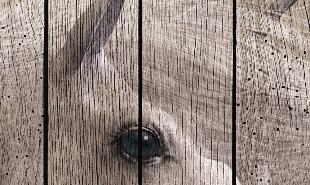 Holz, Hartholz, Innenarchitektur, Gebeiztes Holz, Sperrholz