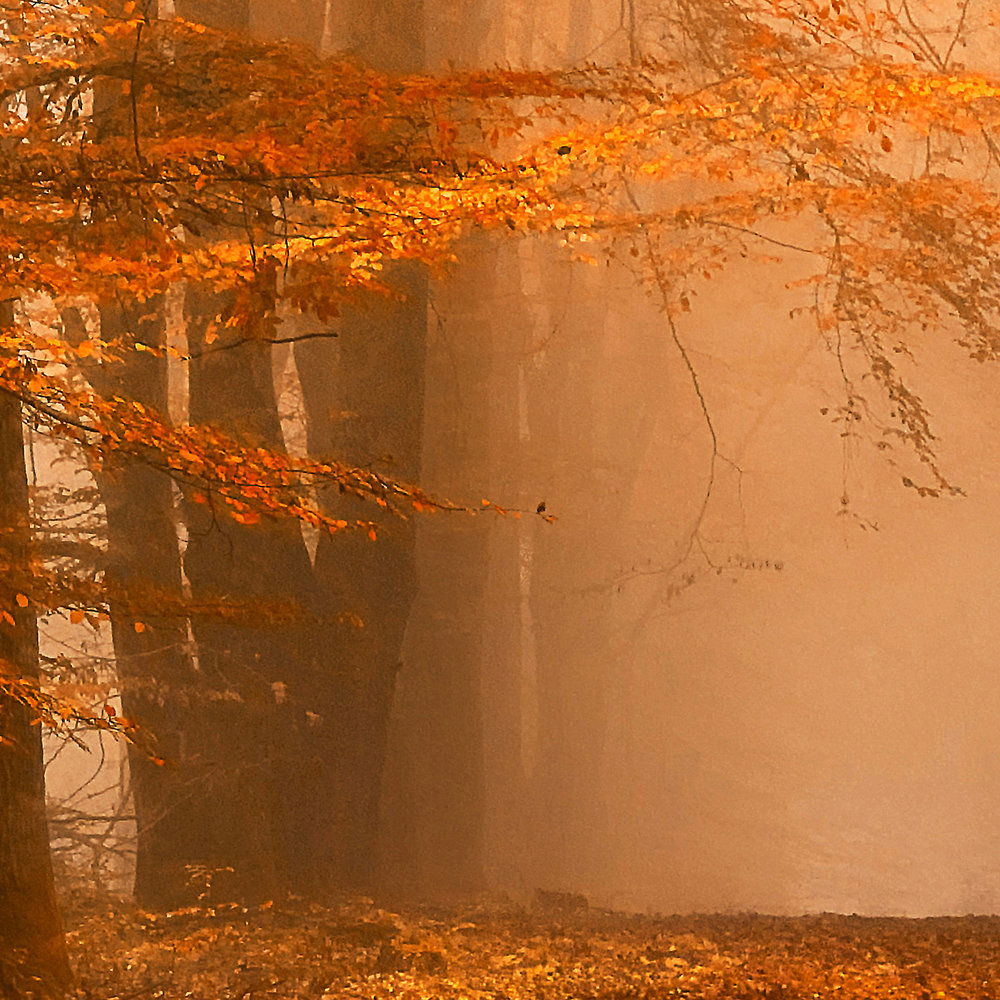             Architects Paper Fototapete AP Digital 4
        