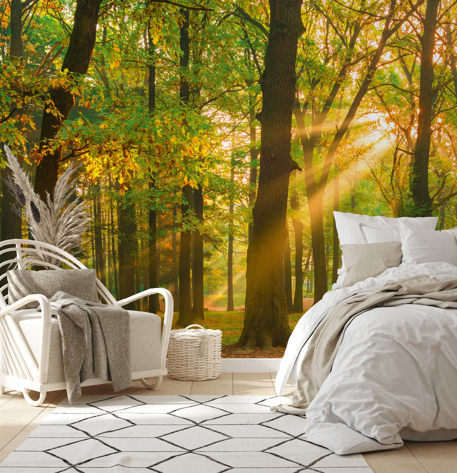         Promenade ensoleillée et naturelle dans la forêt 3D photo papier peint intissé - multicolore
    