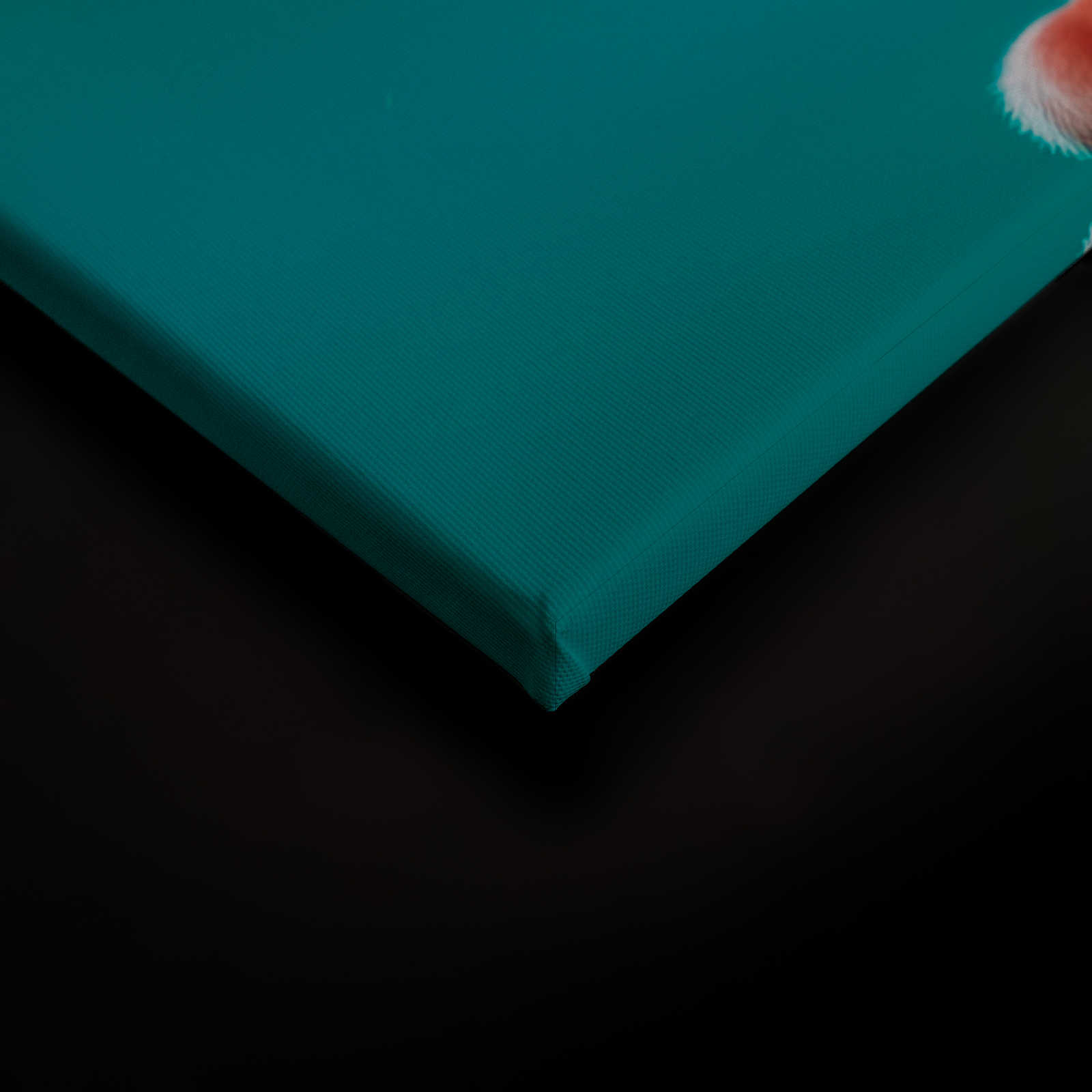             KI Canvas schilderij »Cute Dogs« - 90 cm x 60 cm
        