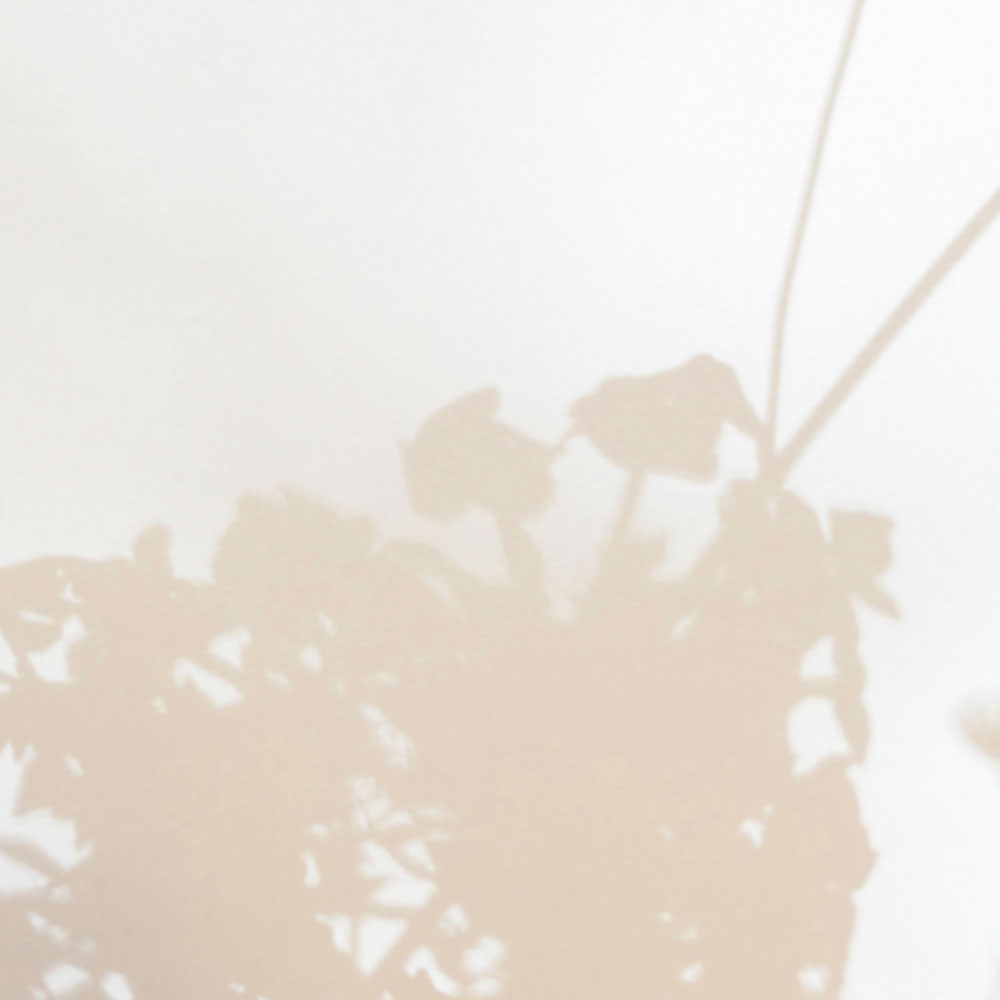 Natur, Draußen, Wetter, Nebel, Rauch