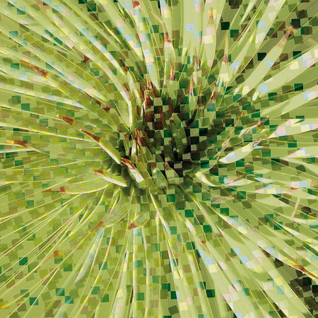 Palm, Grün, Blatt, Pflanze, Textur