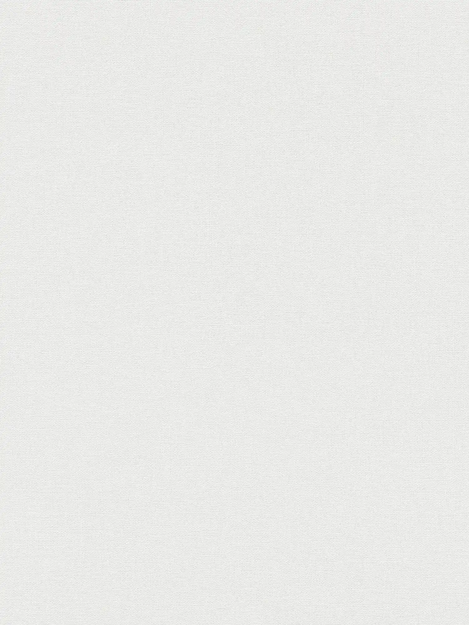         Papier peint intissé sans PVC, aspect lin - Gris
    