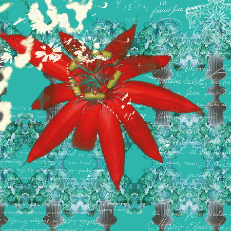 rote Blume, Pflanze, Blütenpflanze, türkises Hintergrundmuster, Musterhintergrund