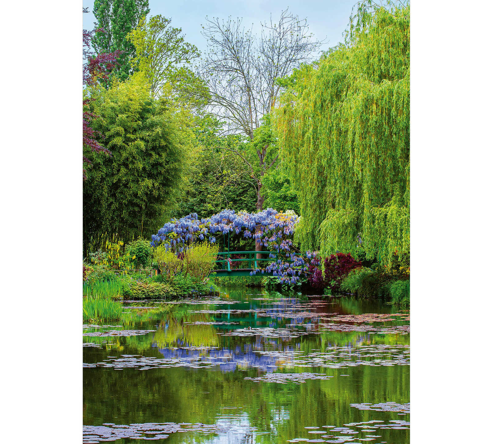         Photo wallpaper garden in France - green, red, blue
    