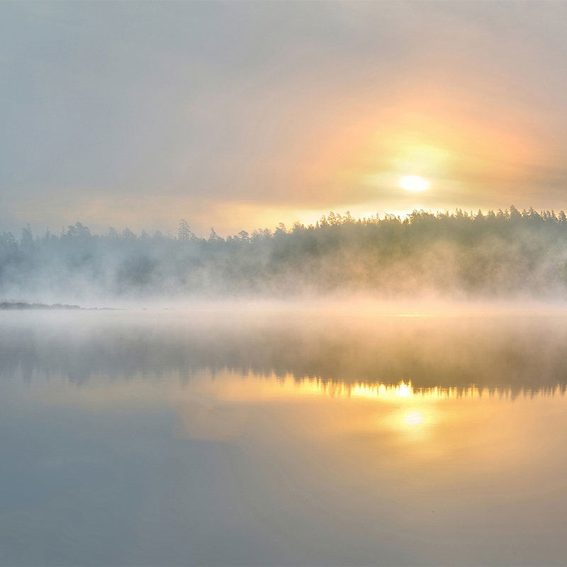         Nature mural foggy lake on premium smooth fleece
    