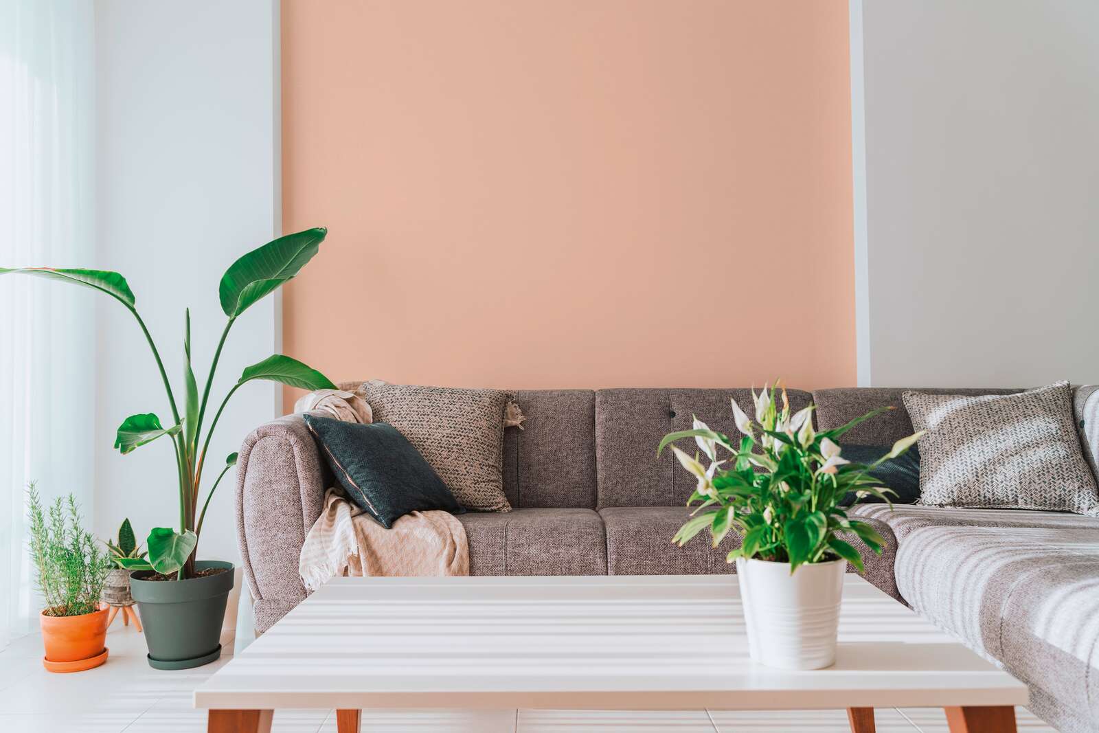 Innenarchitektur, Pflanze, Tabelle, Couch, Inneneinrichtung