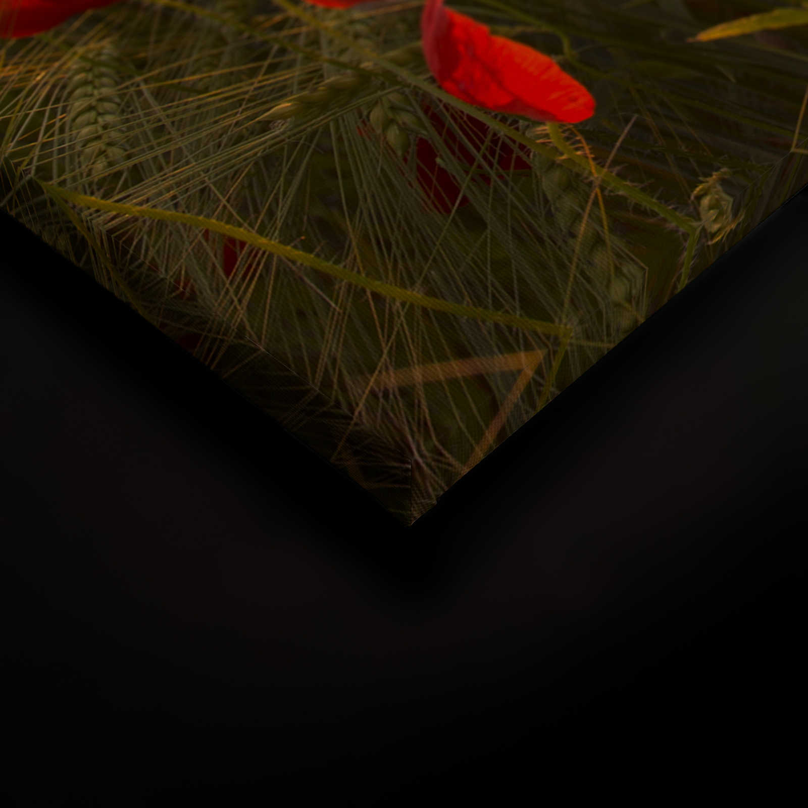             Canvas schilderij Landschap met papaverweide - 0,90 m x 0,60 m
        