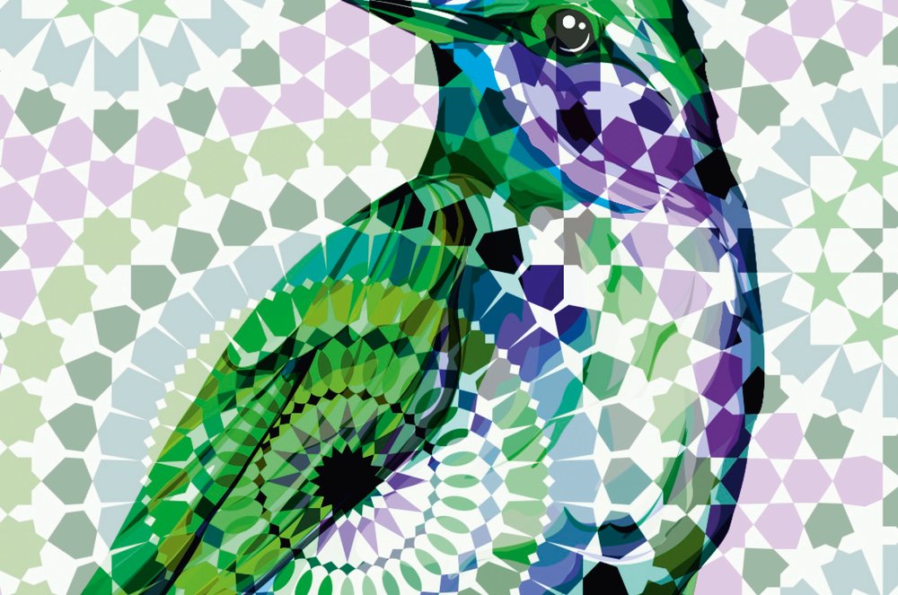 Kunst, Grafiken, Vogel, Jay, Florales Design