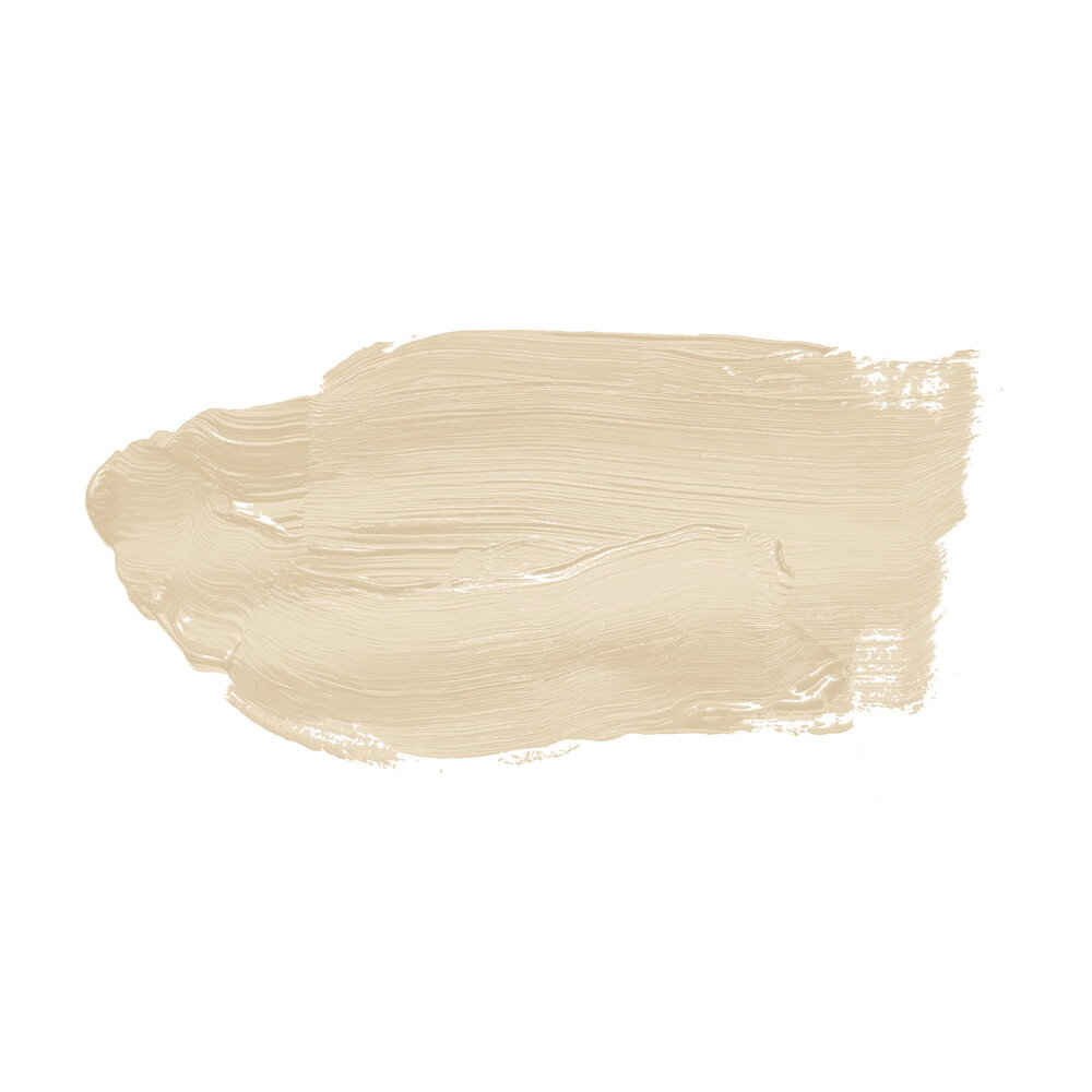 Beige, Creme, Beige Farbe, Grundierung, Make-up-Grundlage