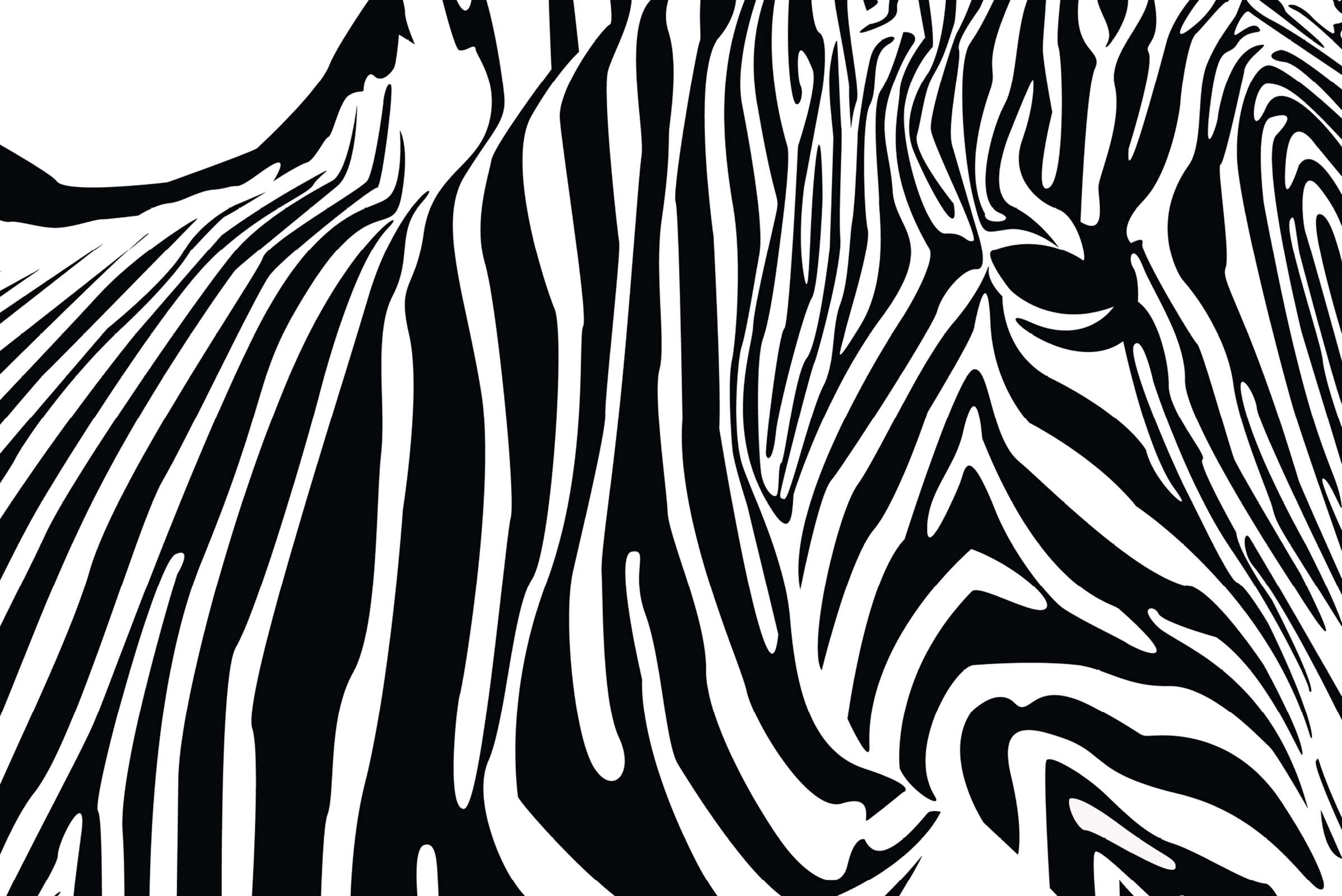 Fototapete mit Zebra Muster – Premium Glattvlies