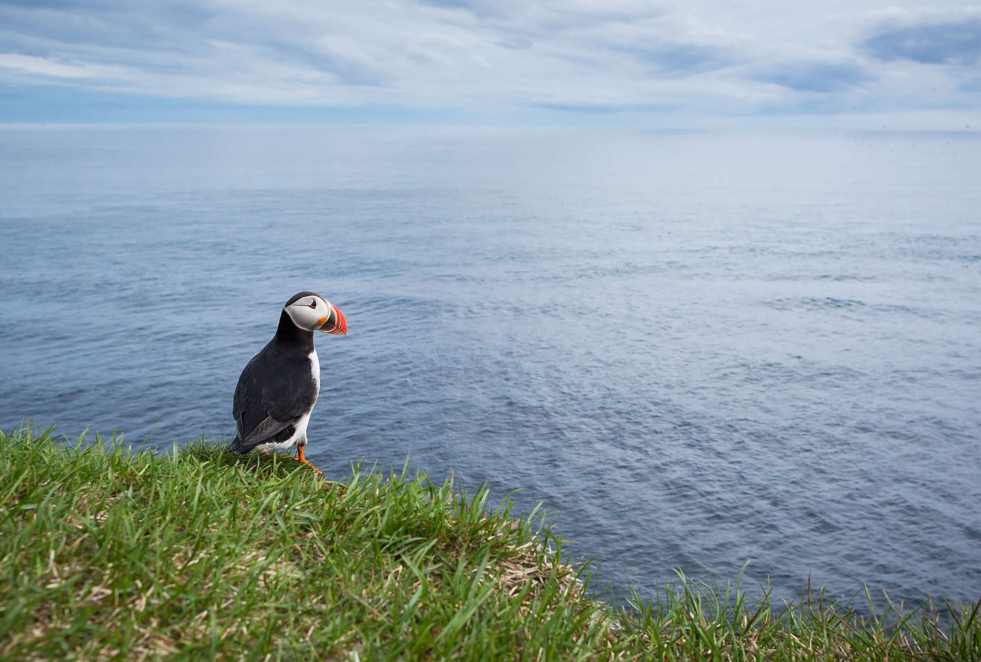             Architects Paper Fototapete AP Digital 2
        