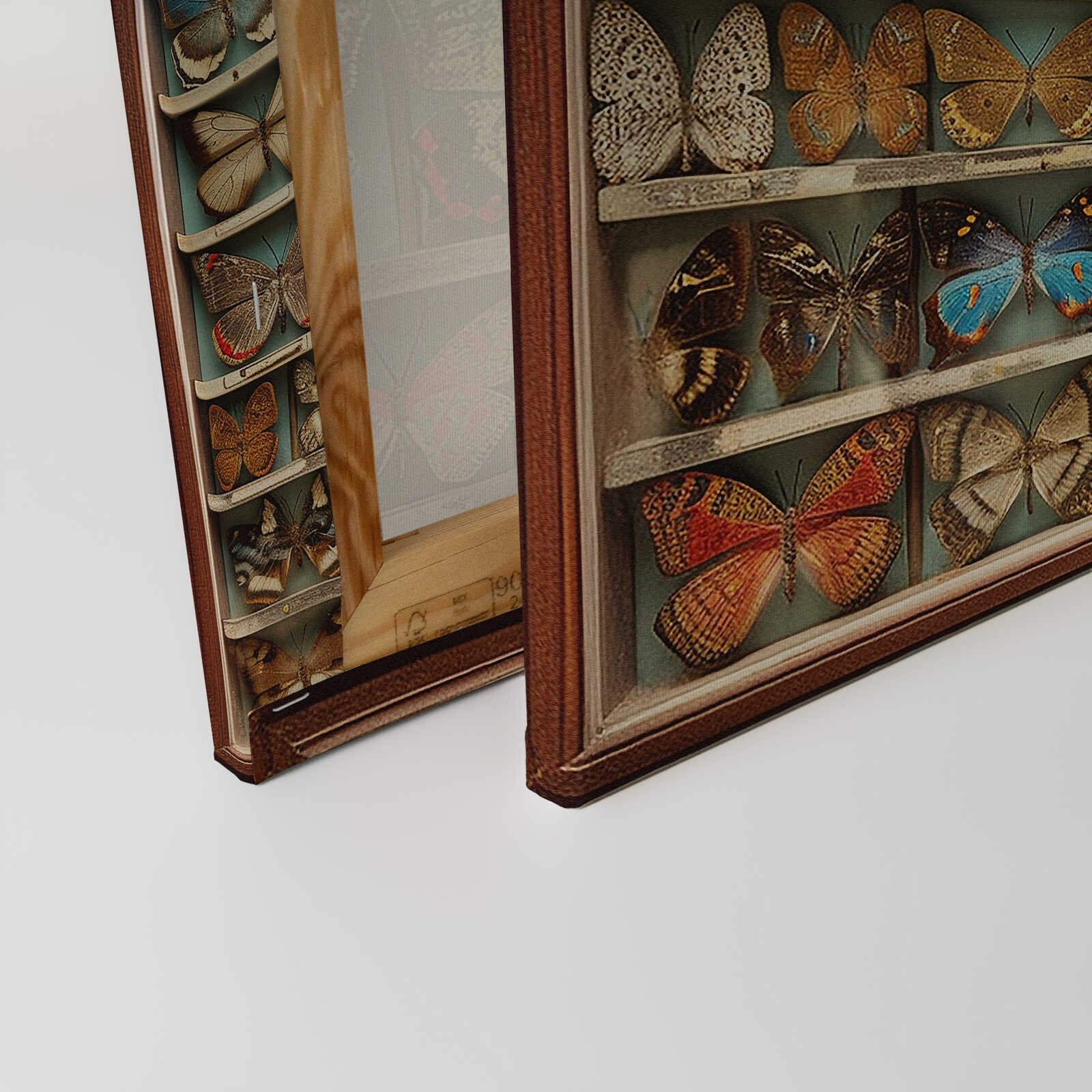 Schmetterlingssammlung in Vintage-Stil - Leinwandbild mit beeindruckender Vielfalt. – 50 x 40 cm - Bunt, Braun