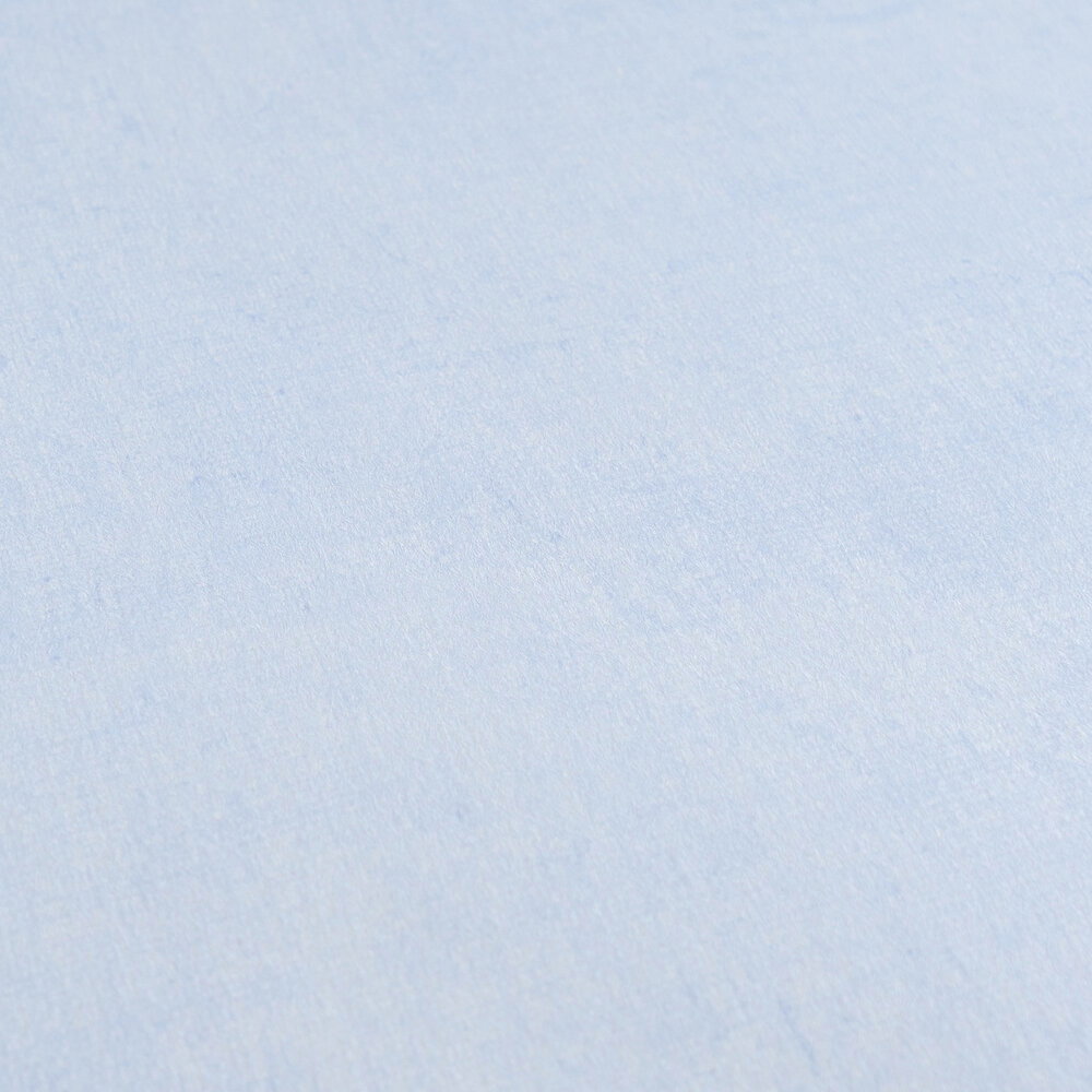             Einfarbige Kinderzimmer Vliestapete - Zeitlos und elegant als ideale Ergänzung zu unseren Motivtapeten – Hellblau
        