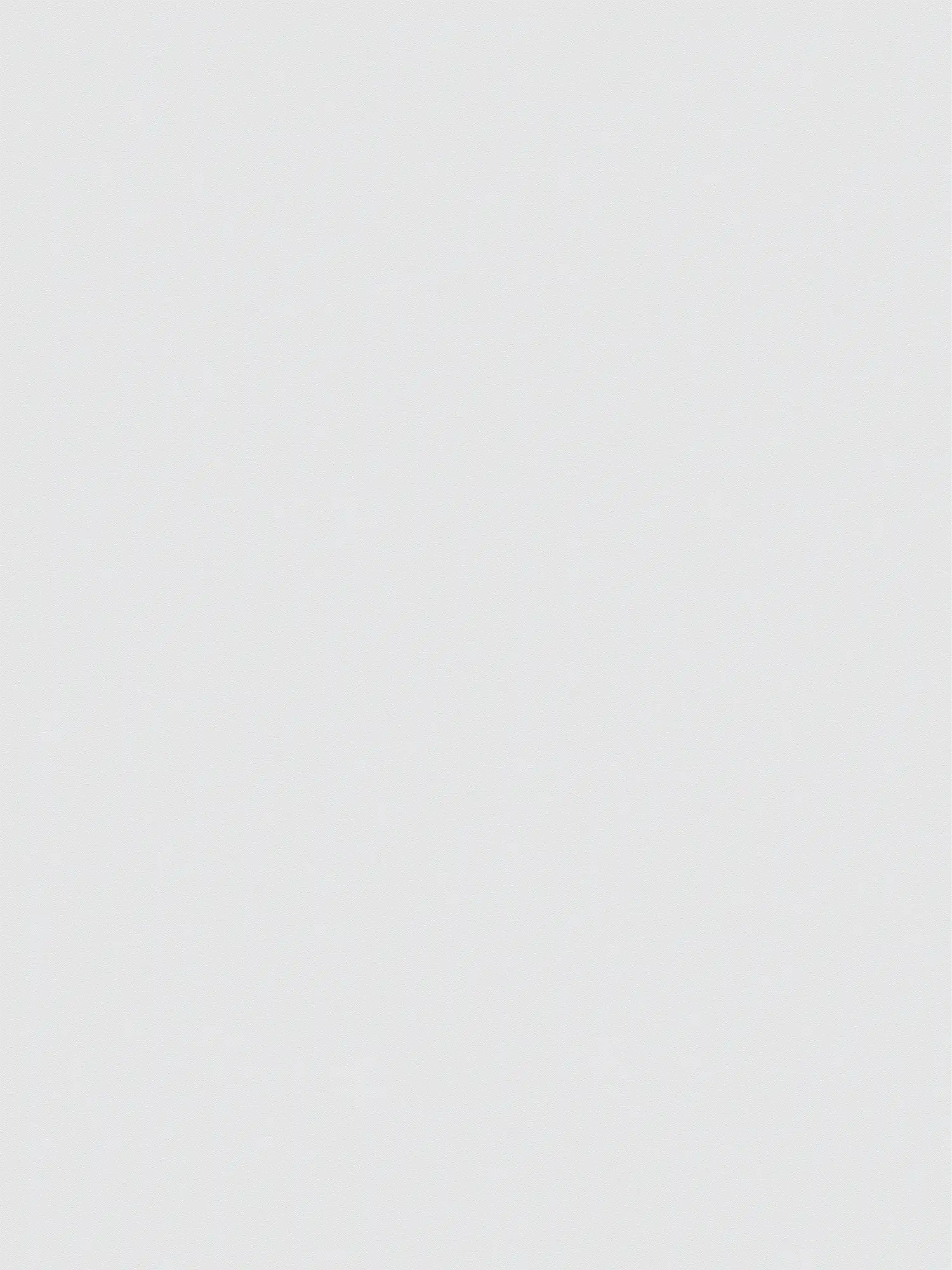         XXL non-woven wallpaper - "Das Uni" from wallpaper shop - 1.06m double width - single-coloured and subtly textured - ice blue
    