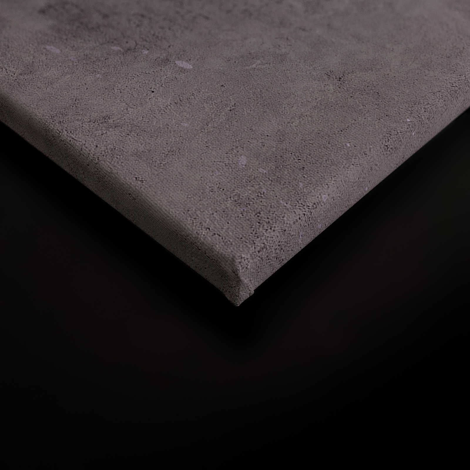             Vintage Wall 2 - Leinwandbild Flieder Putzoptik Design im Used Look – 0,90 m x 0,60 m
        