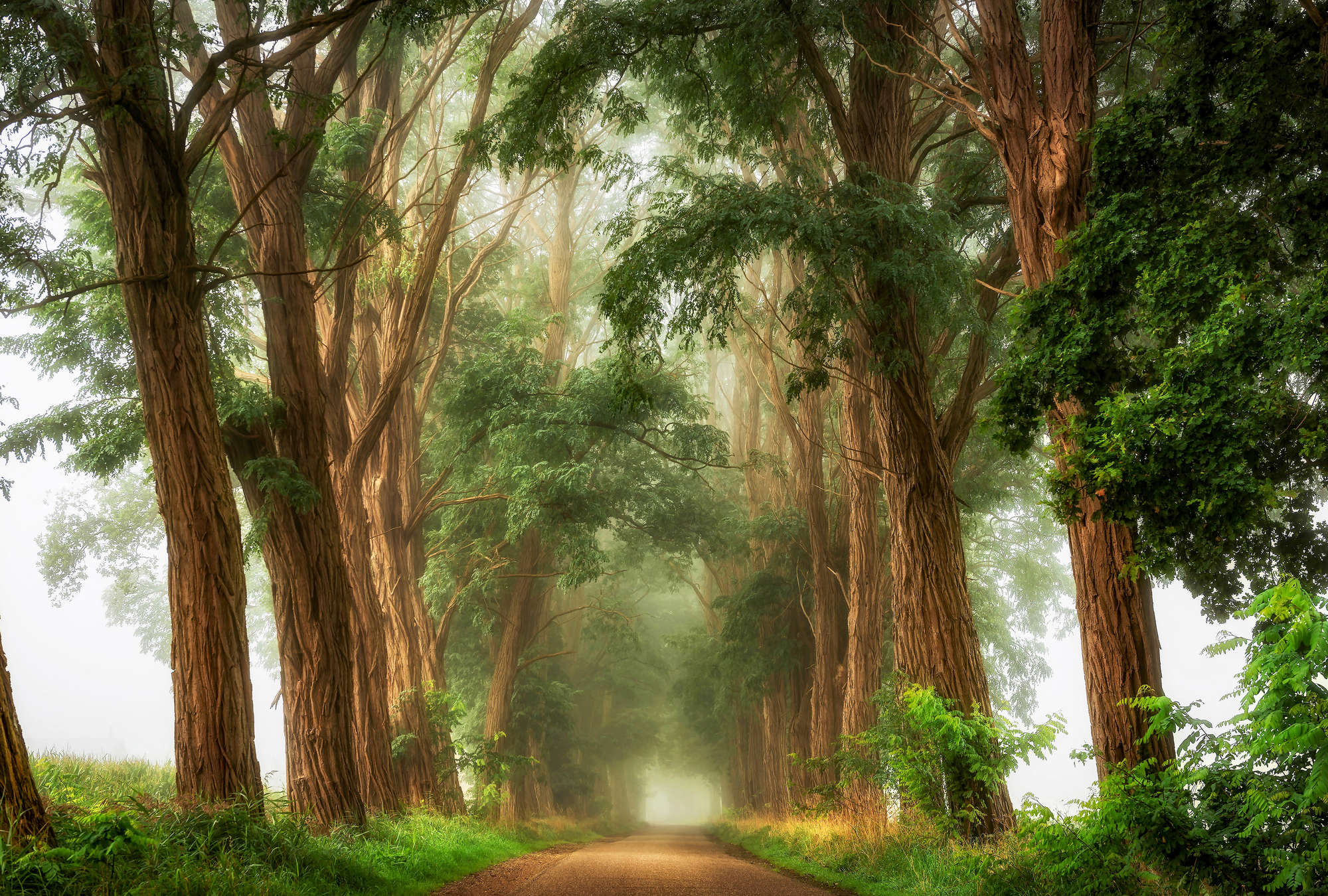             Architects Paper Fototapete AP Digital 4
        