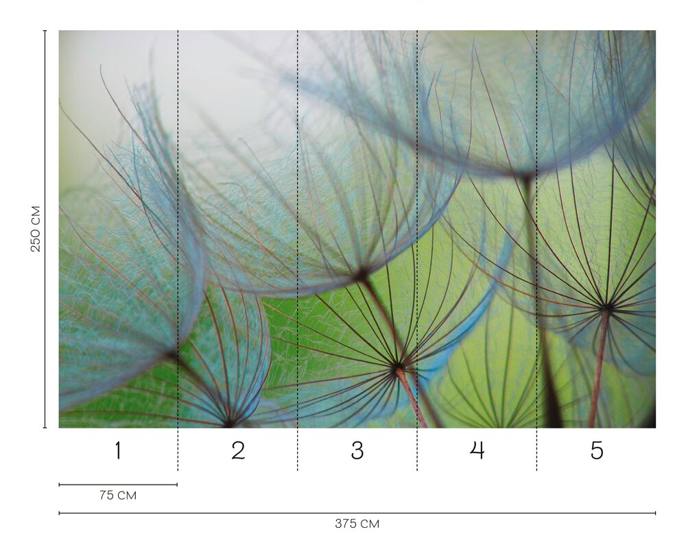             Fototapete mit zarten Pusteblumen – Luftige Vliestapete mit filigranem Naturmotiv – Bunt
        