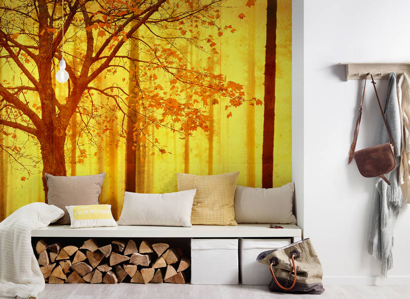 Kissen, Dekoration für Zuhause, Drinnen, Innenarchitektur