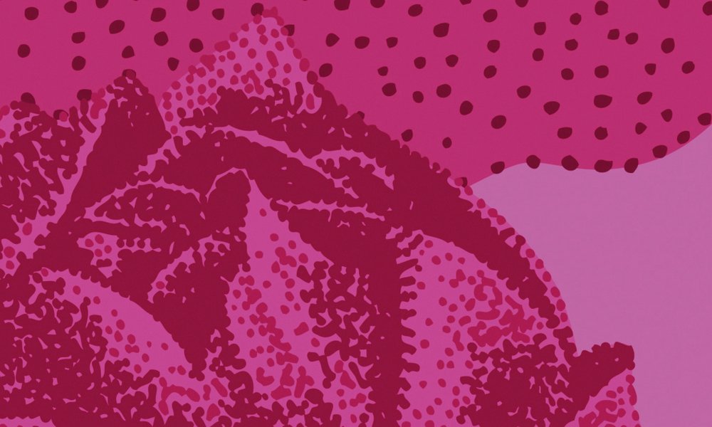 Purpur, Blume, Pflanze, Muster