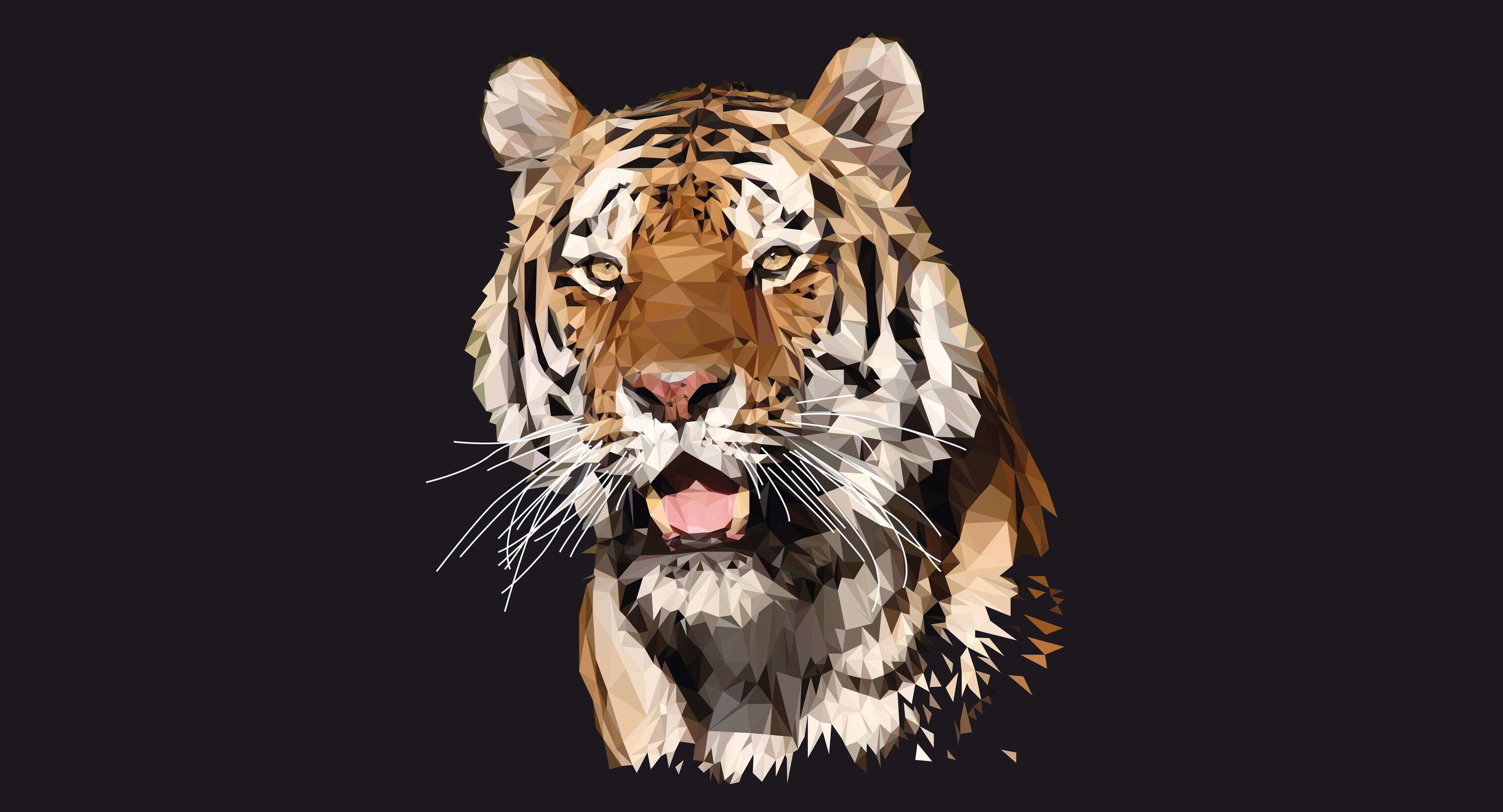 kunst, geometrisch, tiger, tier, porträt