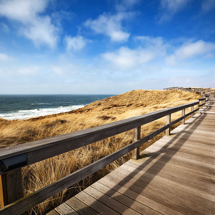 Bodenkamm, Küste, Dünen, Meer, Himmel