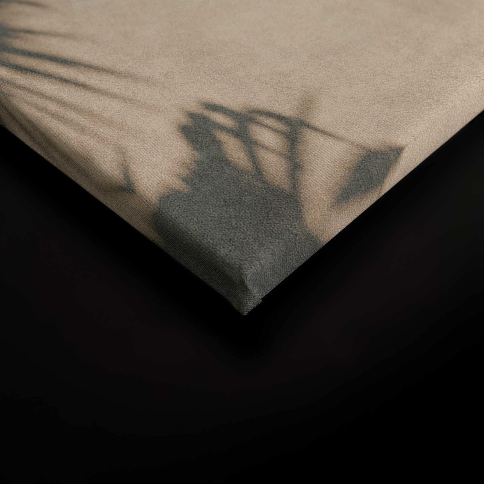             Tunis 1 - Leinwandbild Palmen im Innenhof mit Putz-Wänden – 0,90 m x 0,60 m
        