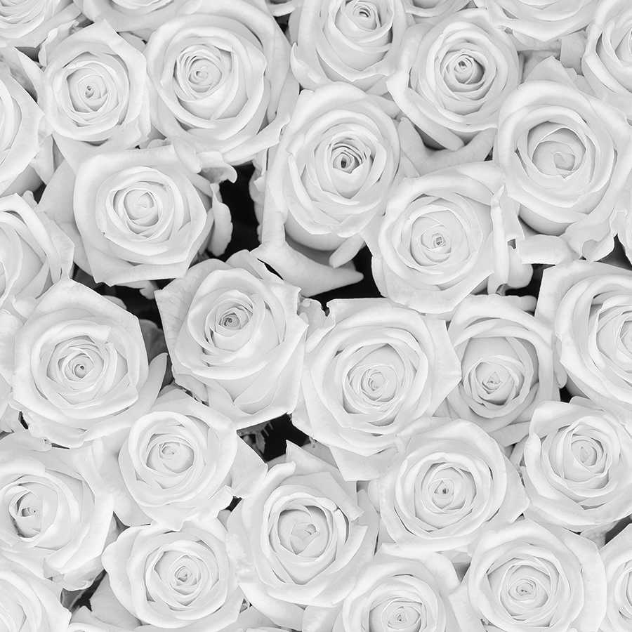 rosen, weiße rosen, blumenstrauß, botanisch, blumenmuster