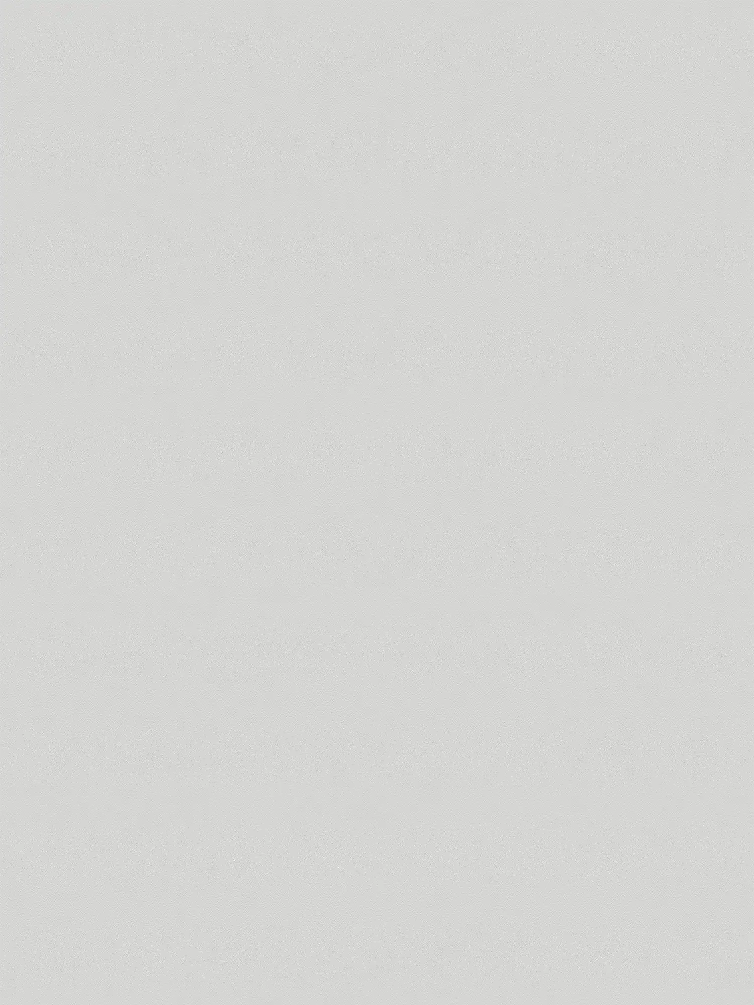         XXL vliesbehang - 'Das Uni' van behangshop - 1,06m dubbele breedte - effen en met subtiele structuur - muisgrijs
    