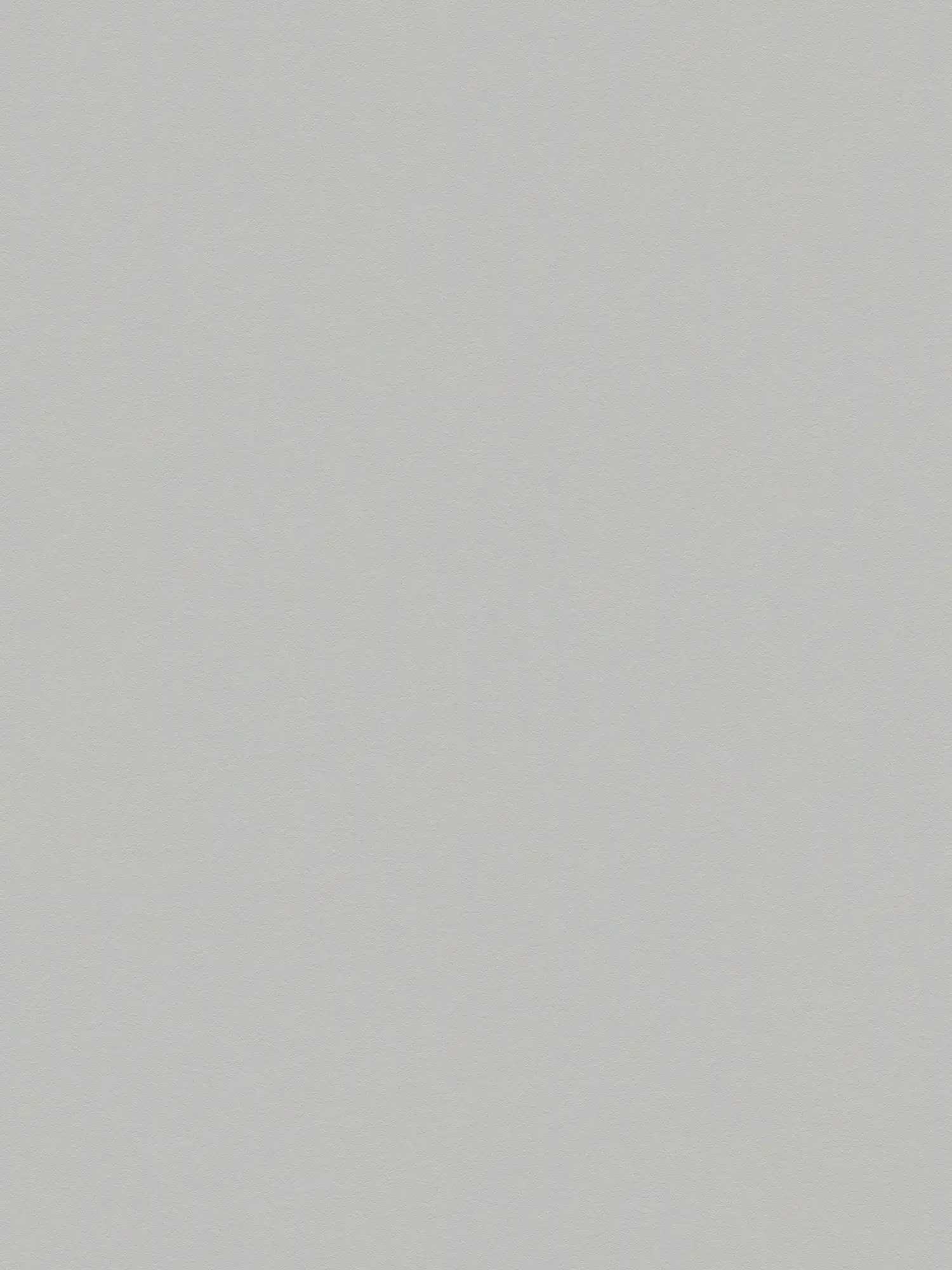         Plain wallpaper grey with matte surface texture
    