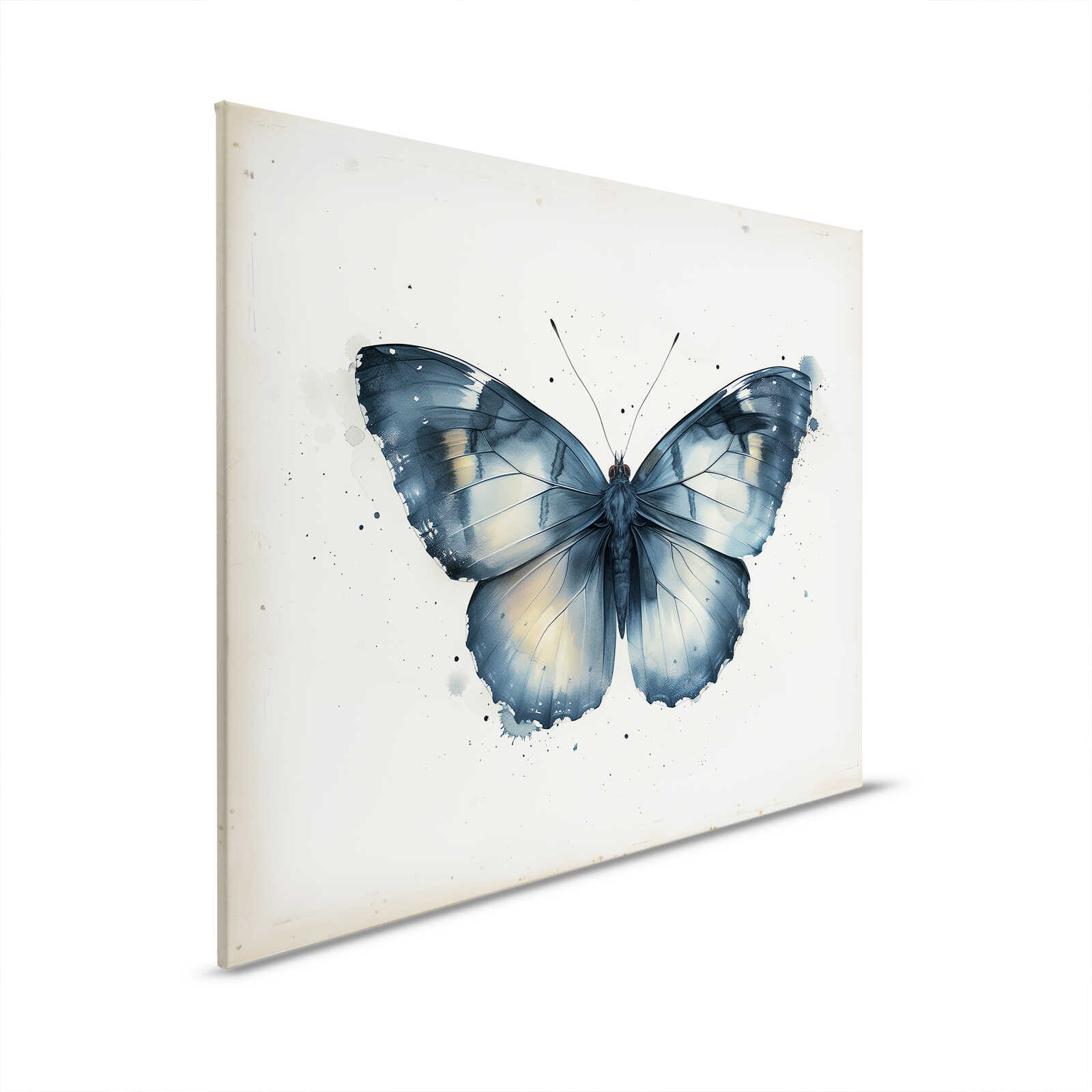         Toile Magie des papillons - Ailes bleues - 50 x 40 cm - Beige, Bleu
    