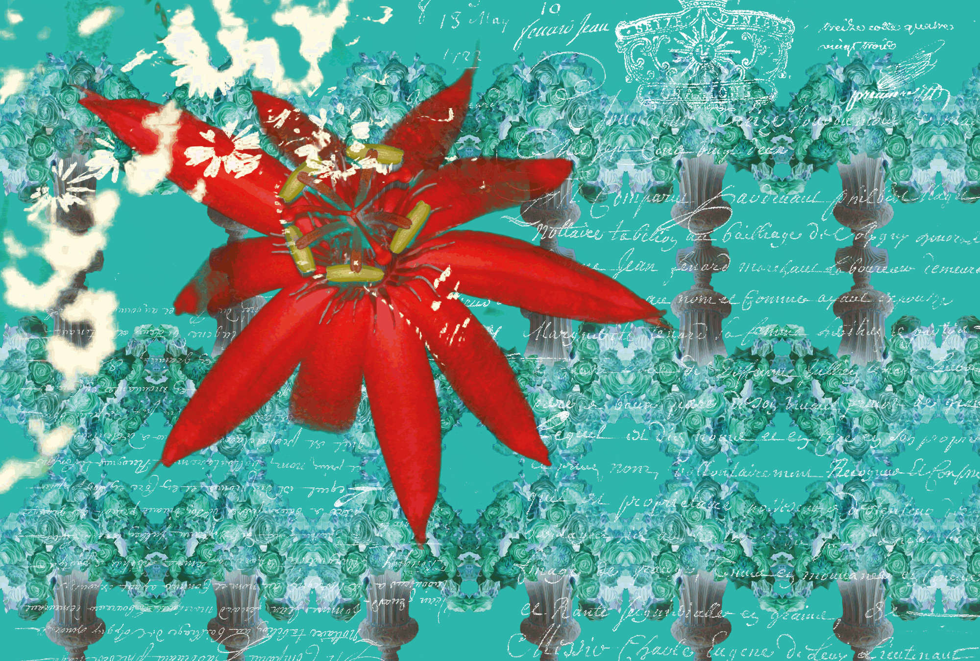 Blume, Rote Blüte, Sonnenblume, Floral Muster, Hintergrund Textur