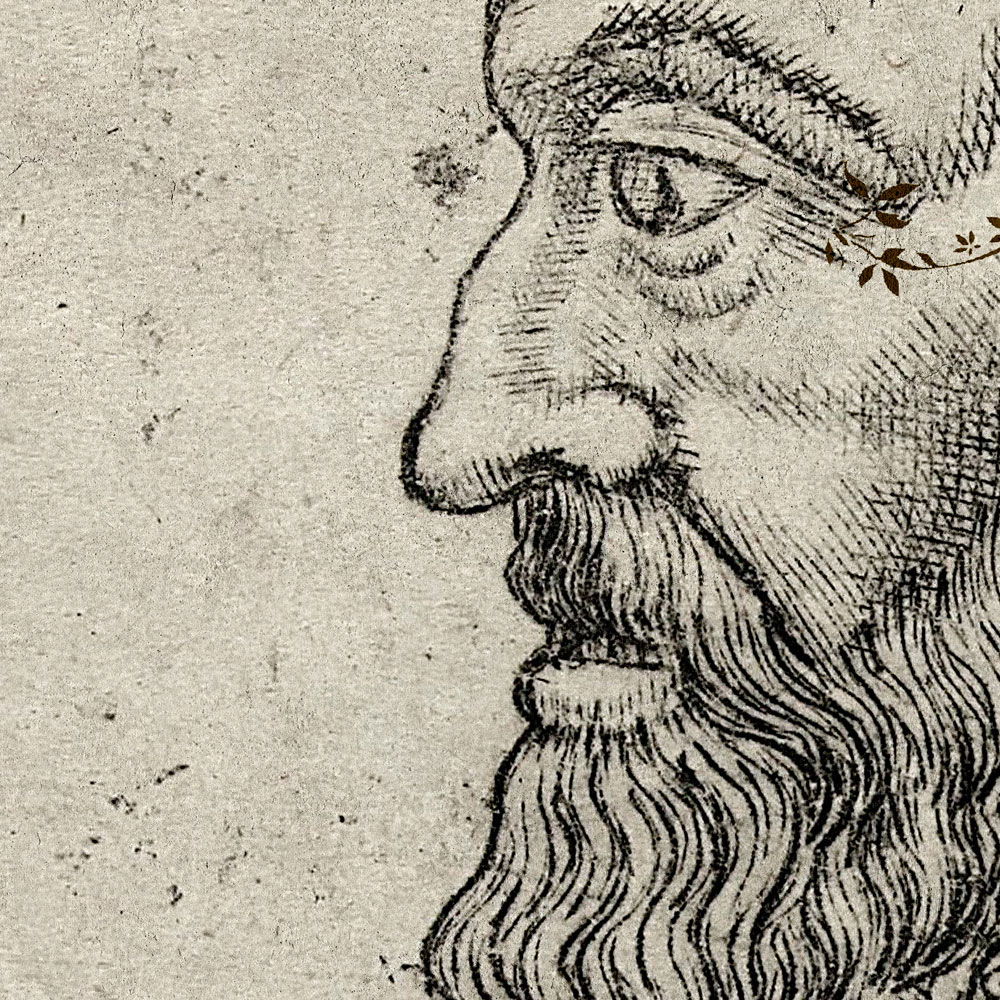             In the Gallery 2 – Fototapete Historic Sketch & Blumen Design
        