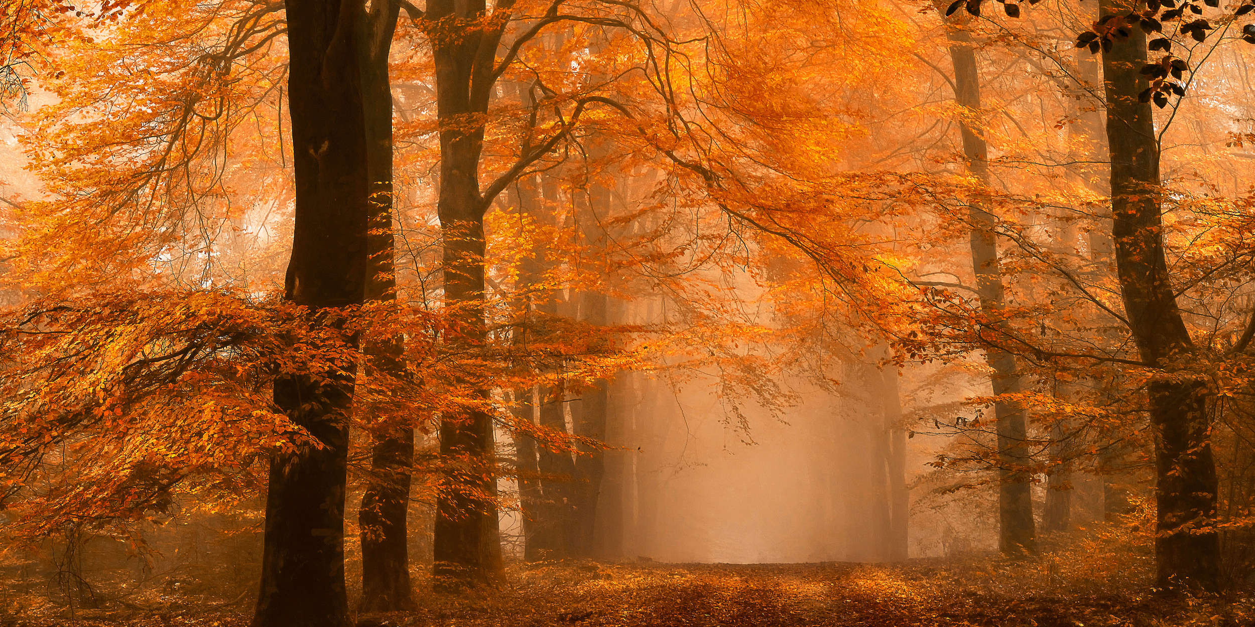             Architects Paper Fototapete AP Digital 4
        