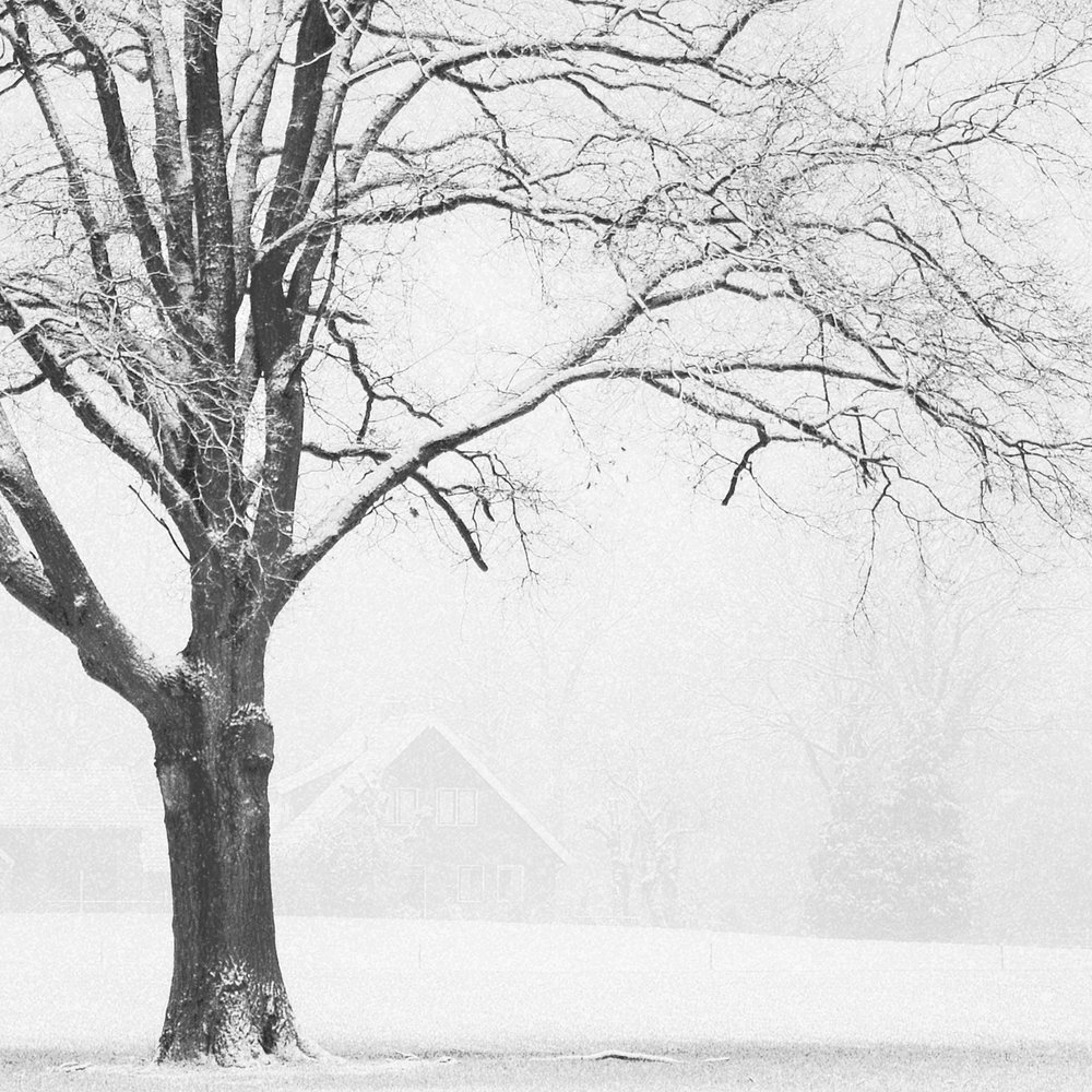             Architects Paper Fototapete AP Digital 4
        