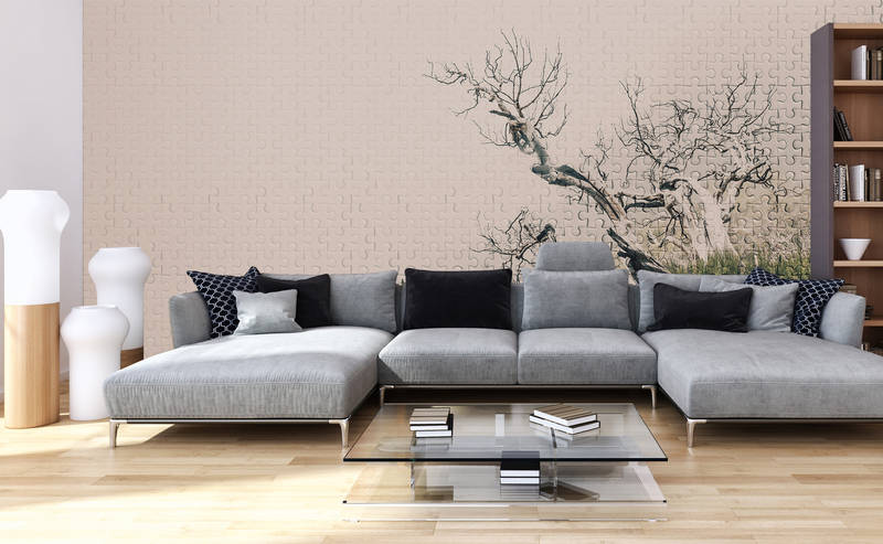 Kissen, Dekoration für Zuhause, Couch, Mobiliar, Kopfkissen