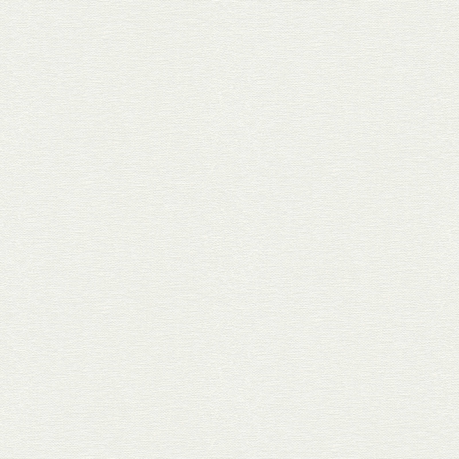         Vliestapete überstreichbar mit feiner Struktur doppeltbreit – Weiß
    