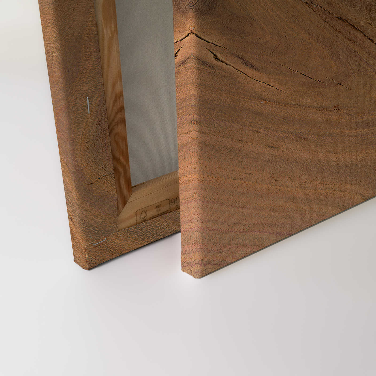             Leinwandbild Detailaufnahme von einem Baumstamm – 0,90 m x 0,60 m
        