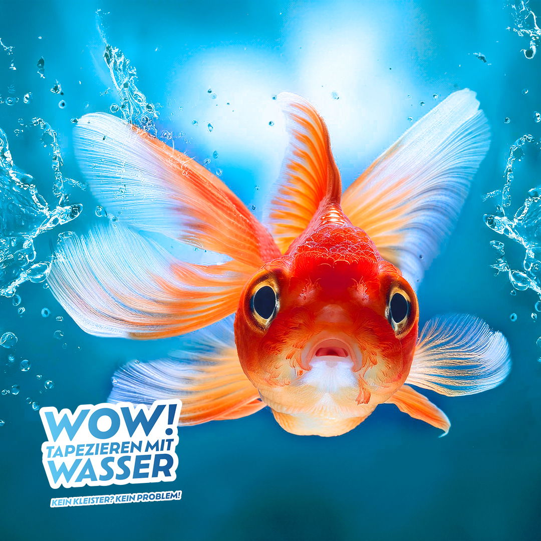 Tier, Fische, Leben im Meer, Goldfisch