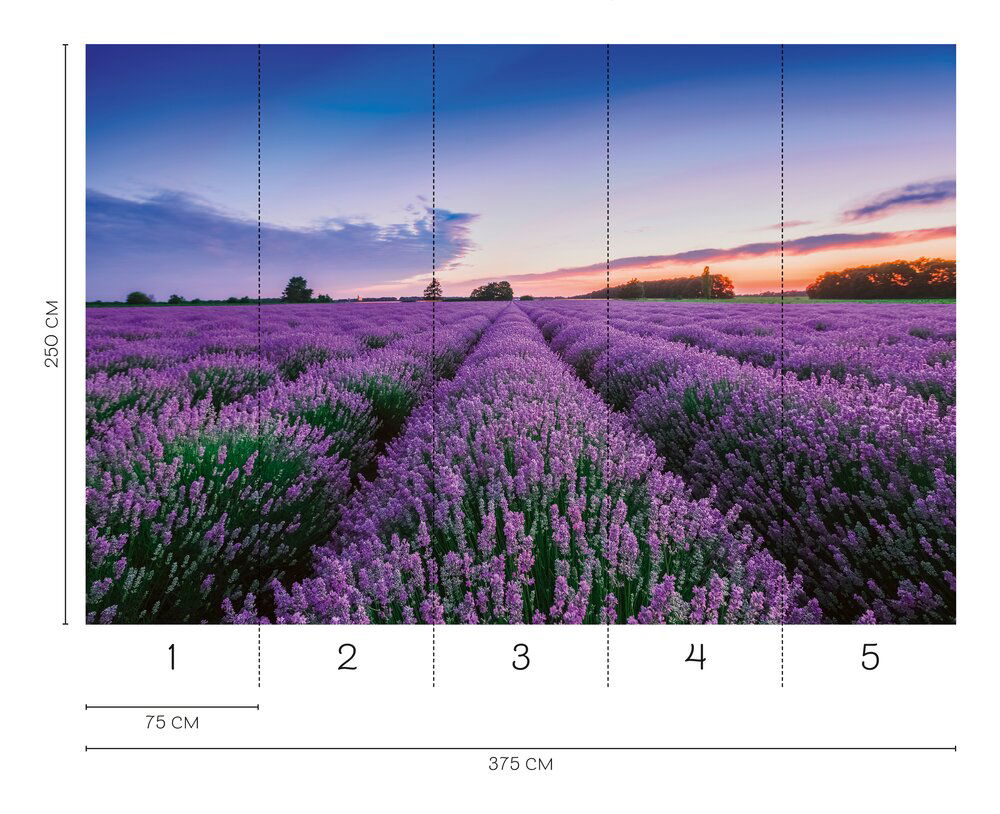             Fototapete Lavendelfelder der Provence – Romantische Vliestapete mit violettem Blütenmeer – Bunt
        