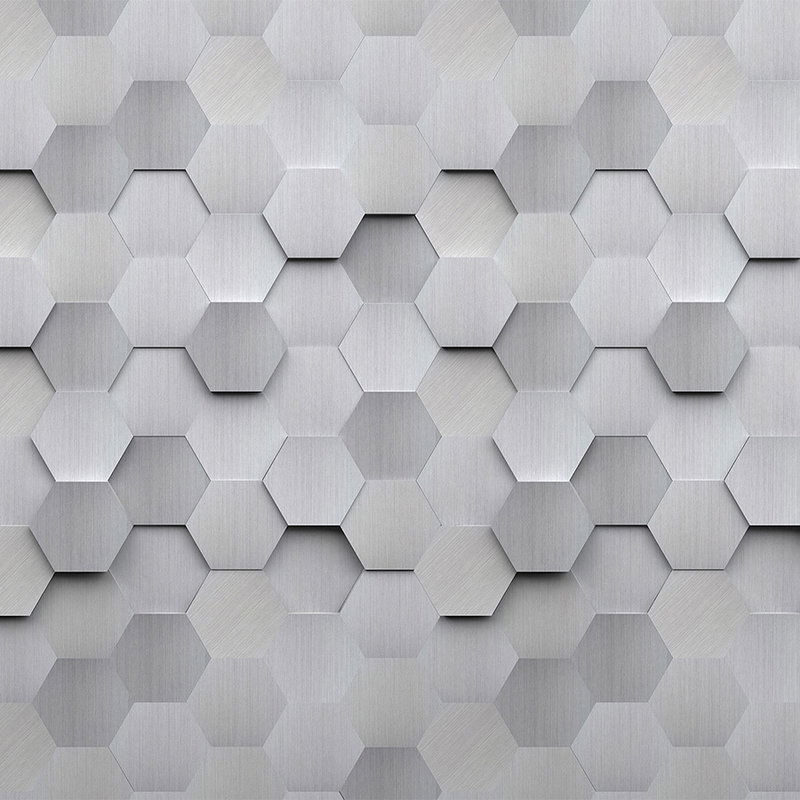         Hexagon Vliestapete – 3D Foto Tapete für moderne Wandgestaltung – Grau, Weiß
    