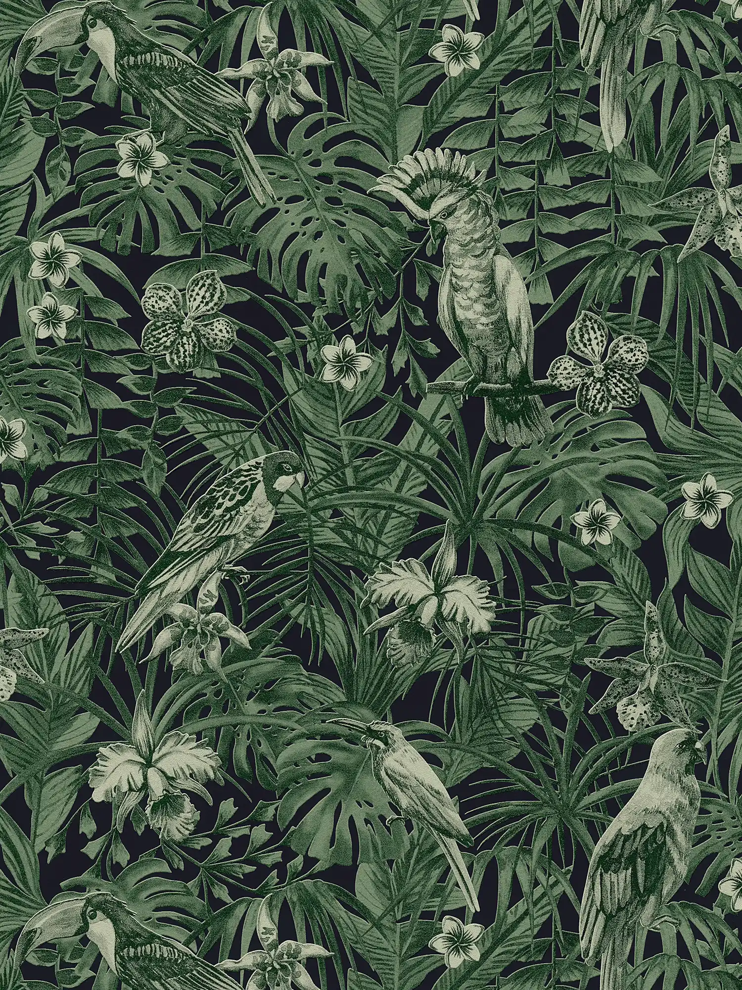         Wallpaper tropical birds & exotic flowers - green, black
    