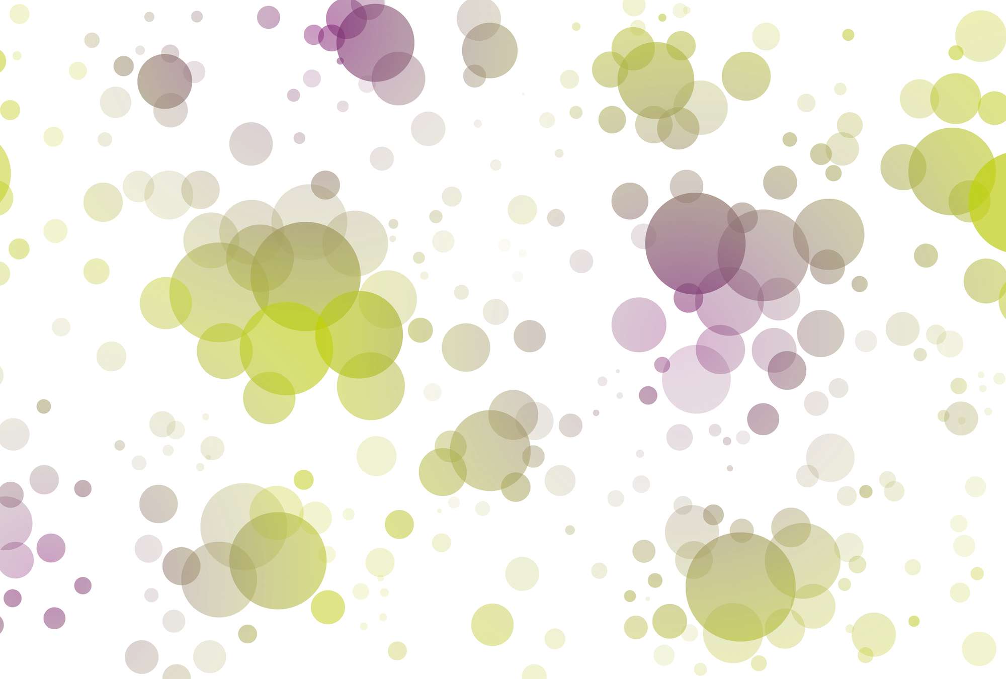             Fototapete mit grafischem Design – Transparente Kreismuster
        